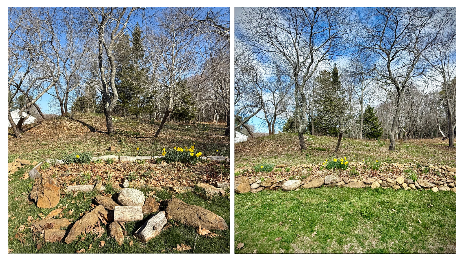 Cape Elizabeth, ME; Ornamental Garden Clean-up Before+After