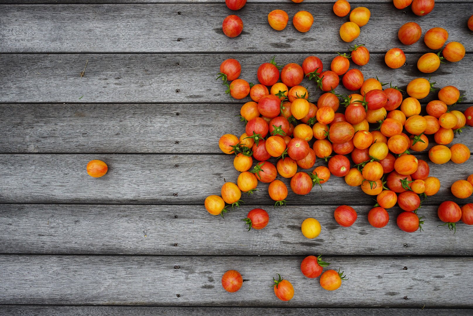 Colorful Cherry Tomatoes
