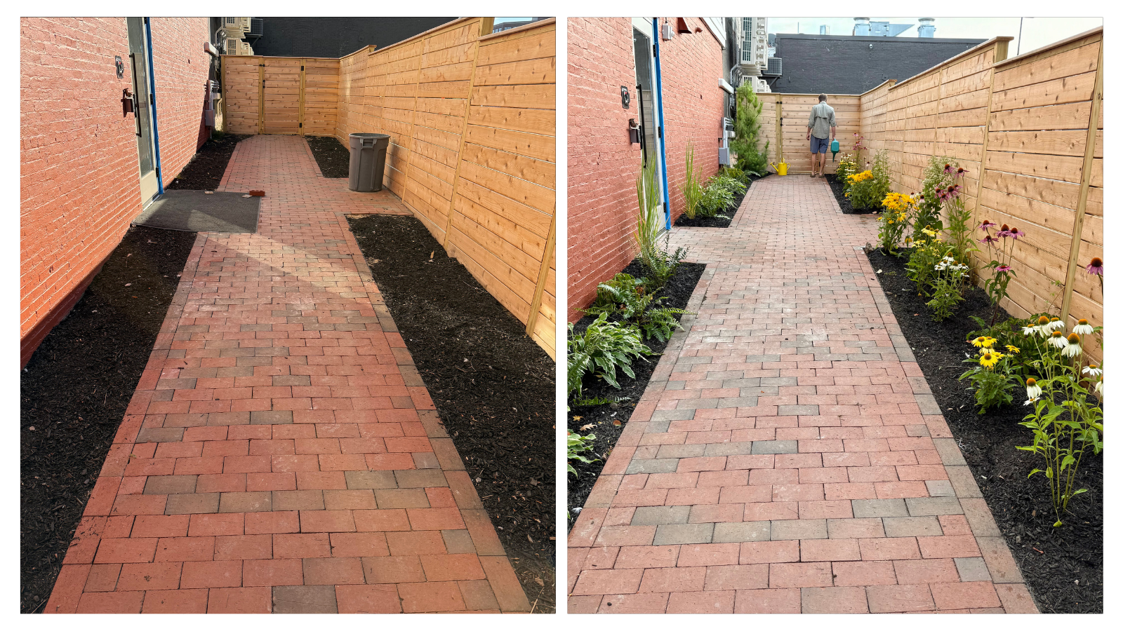 Portland, ME; Condo Garden Last Minute Plant Install Before+After