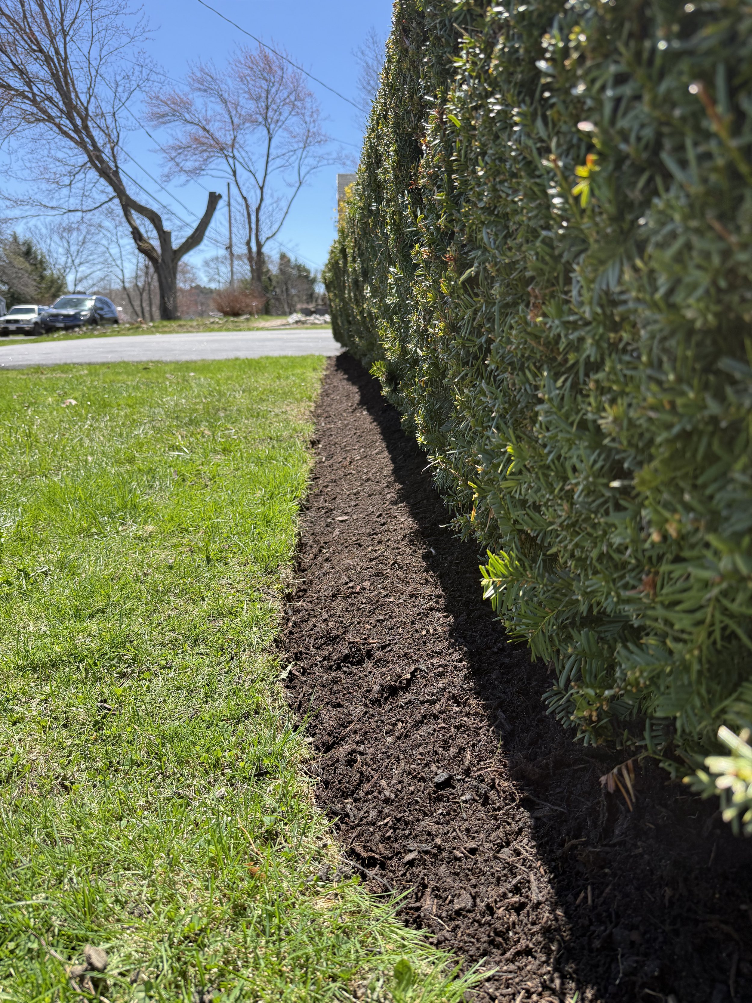 Spring Clean, Crisp Edge + Mulch