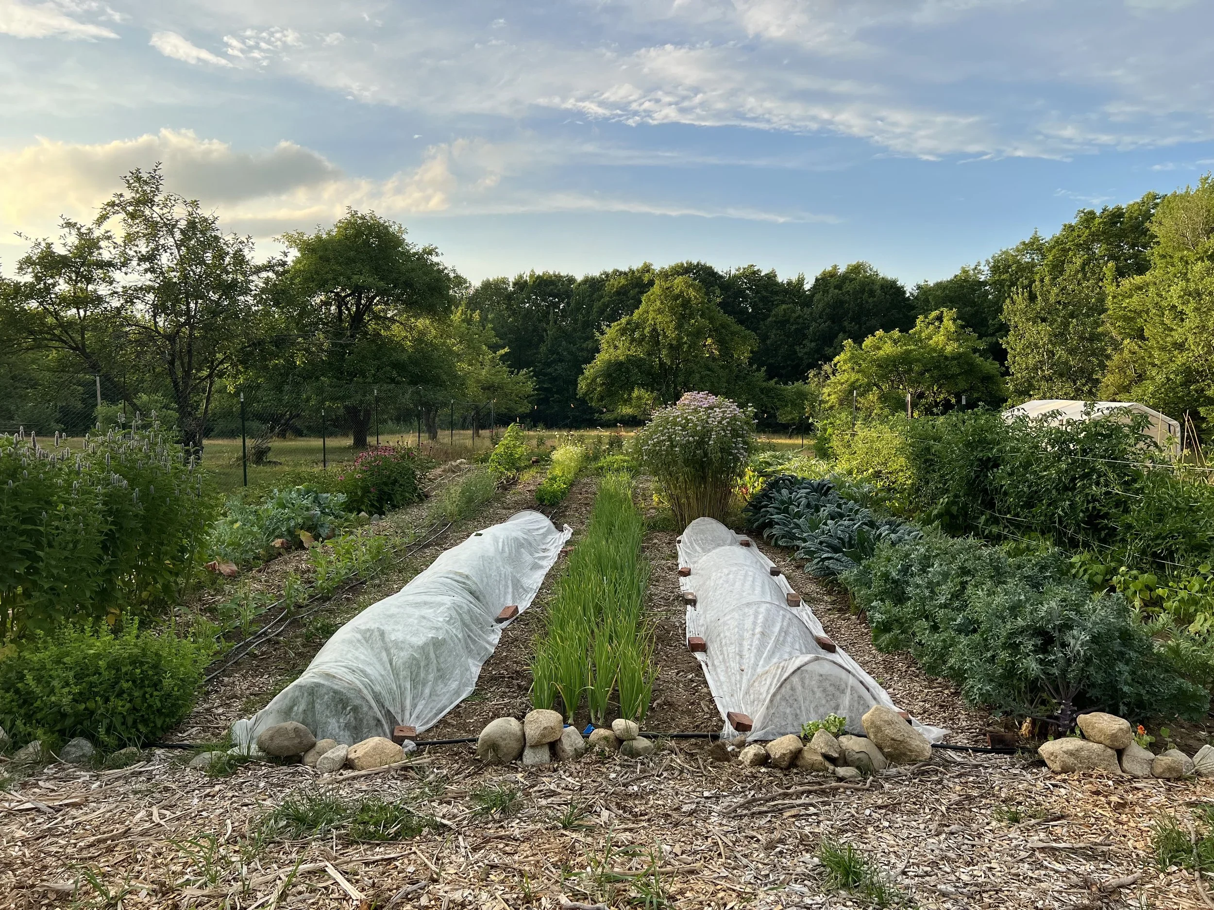 Vegetable Garden Install; after