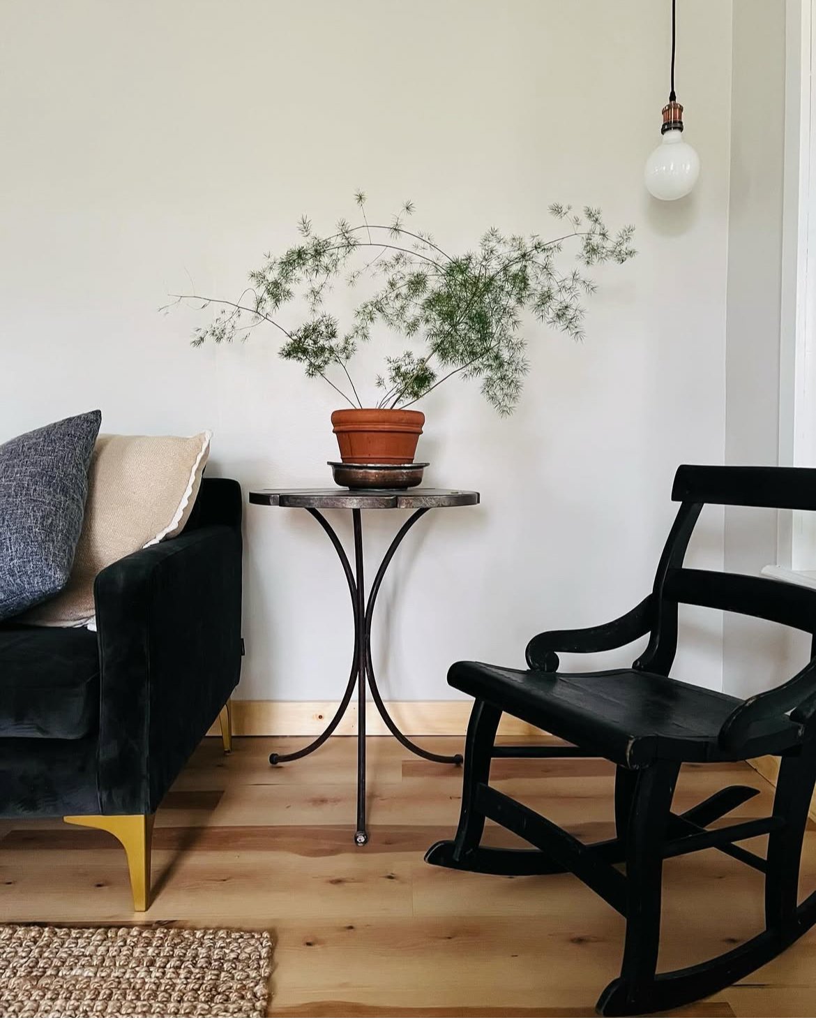 Indoor Plant Care in Coastal Maine
