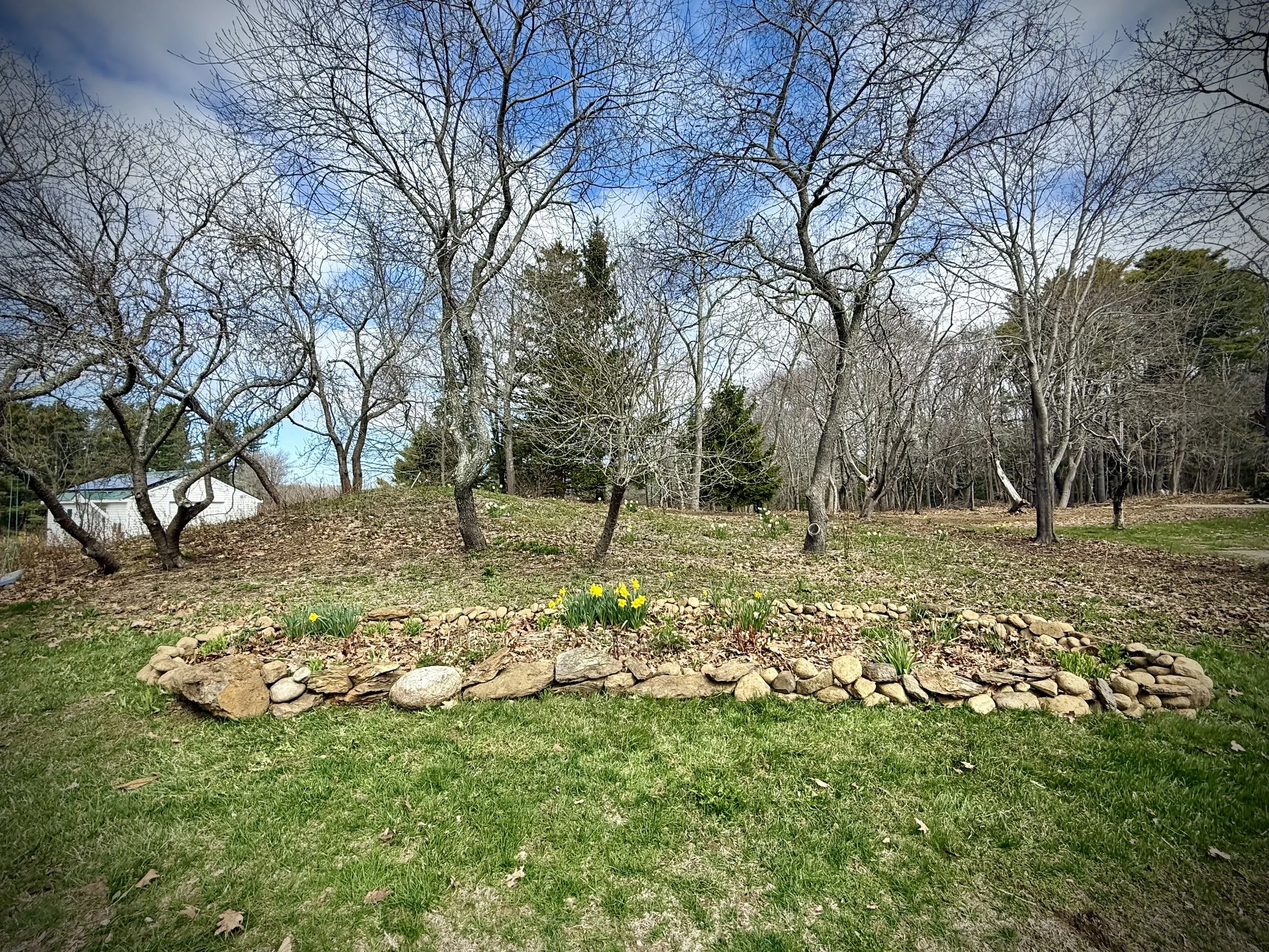 Garden Bed border Re-vamp; after