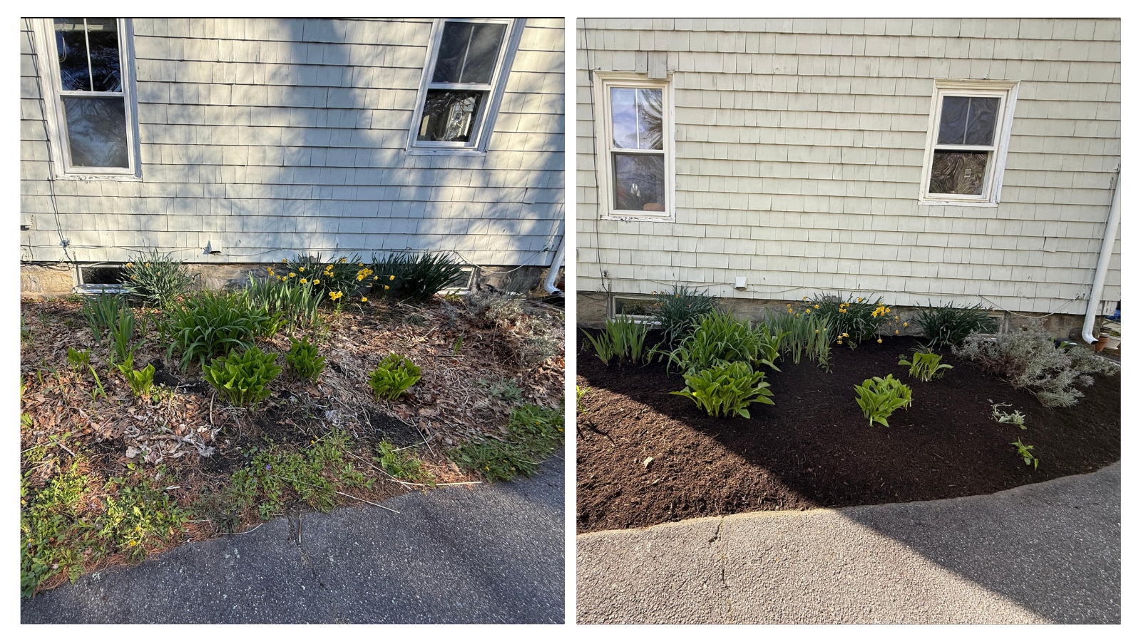 Cape Elizabeth, ME; Ornamental Garden Clean-up Before+After