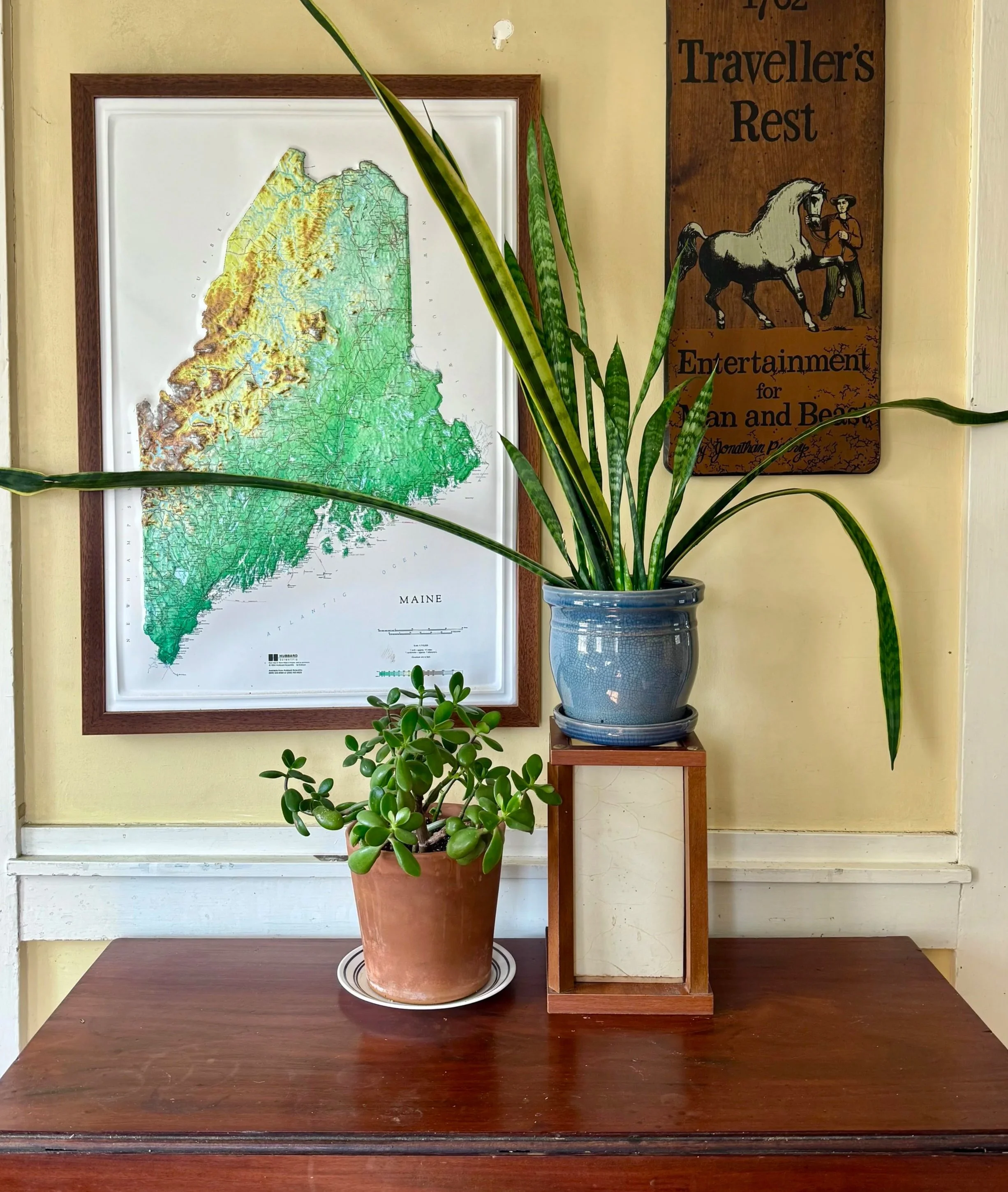 Potted Snake Plant alongside a topographic map of Maine, and an old wooden entertainment sign.
