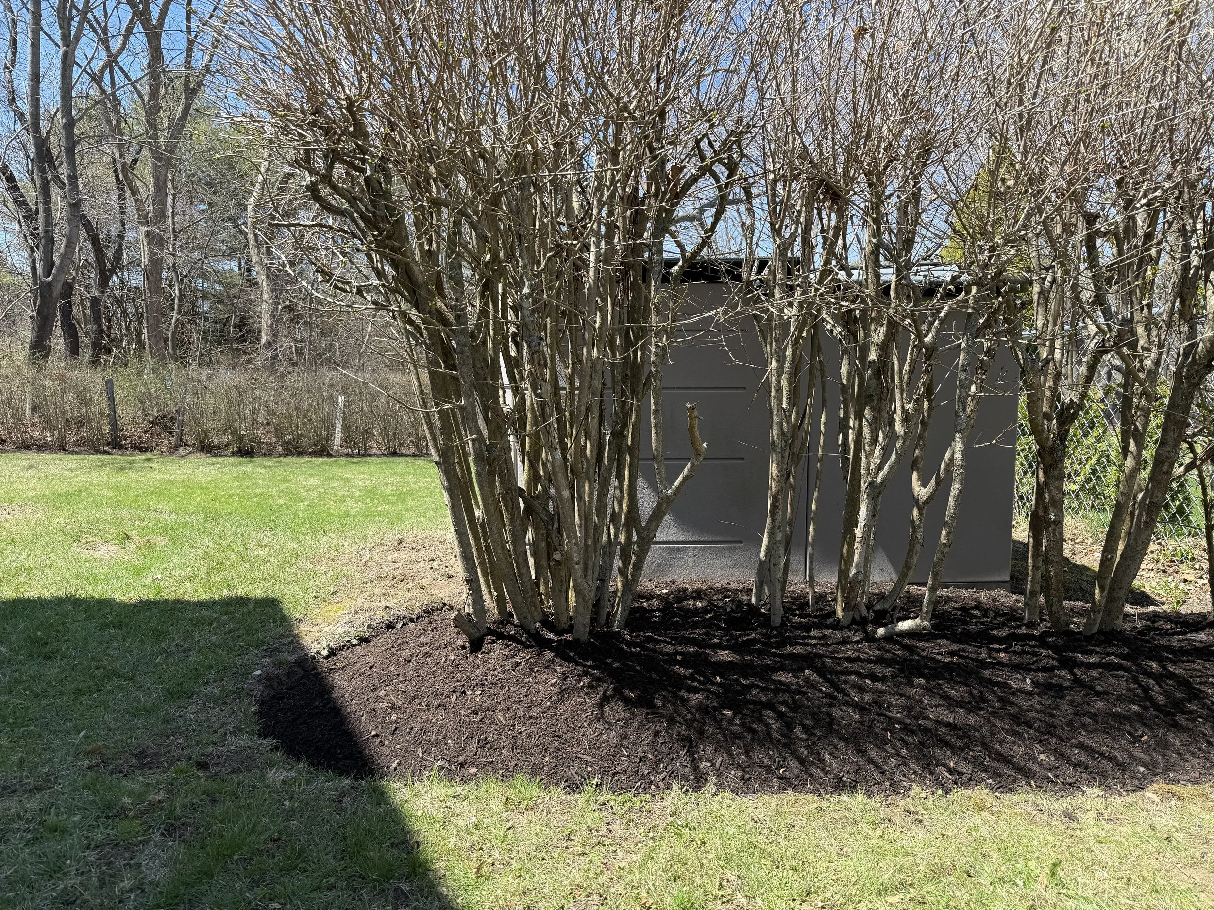 Spring Clean, Crisp Edge + Mulch