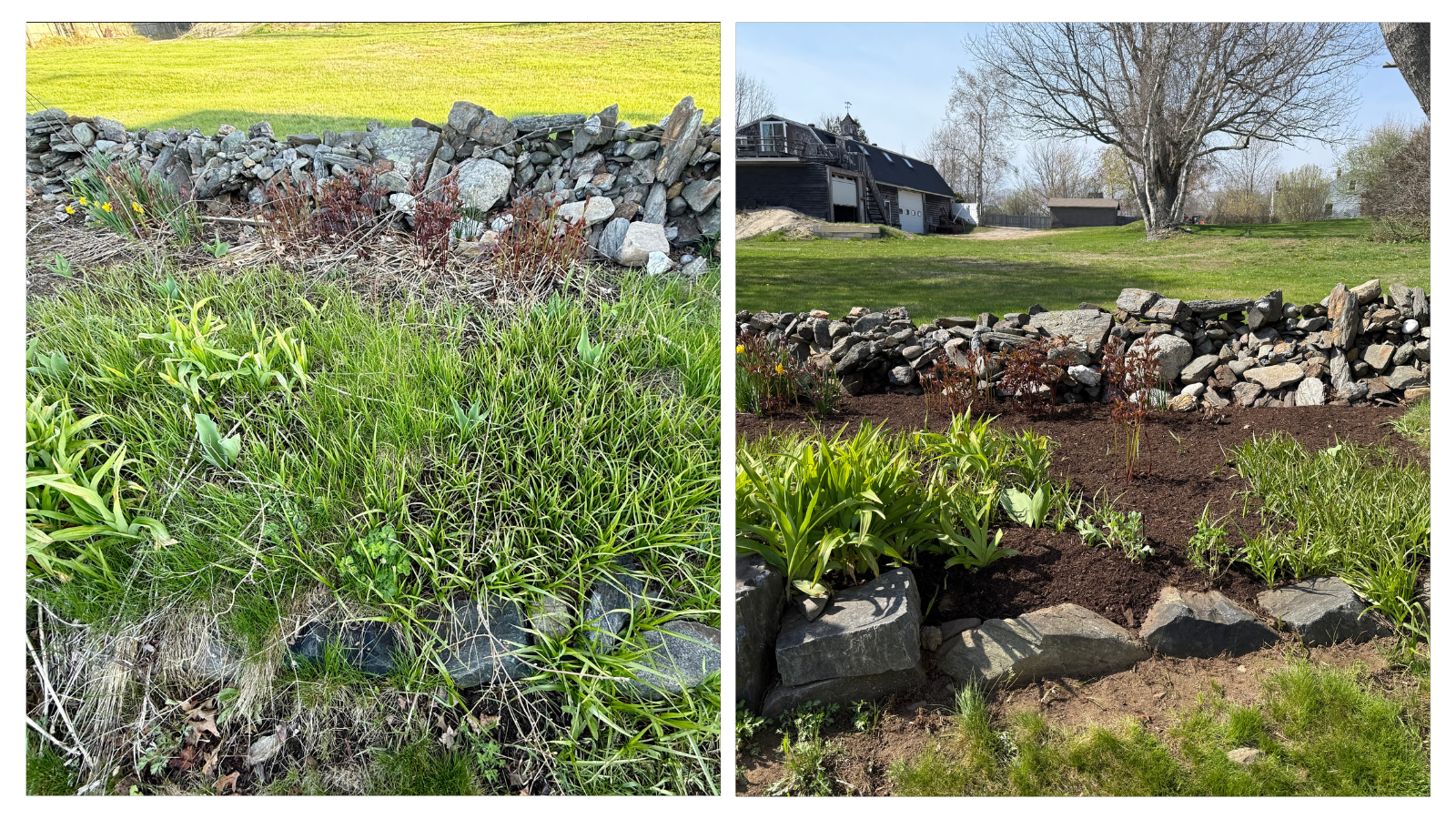 Cape Elizabeth, ME; Ornamental Garden Clean-up Before+After