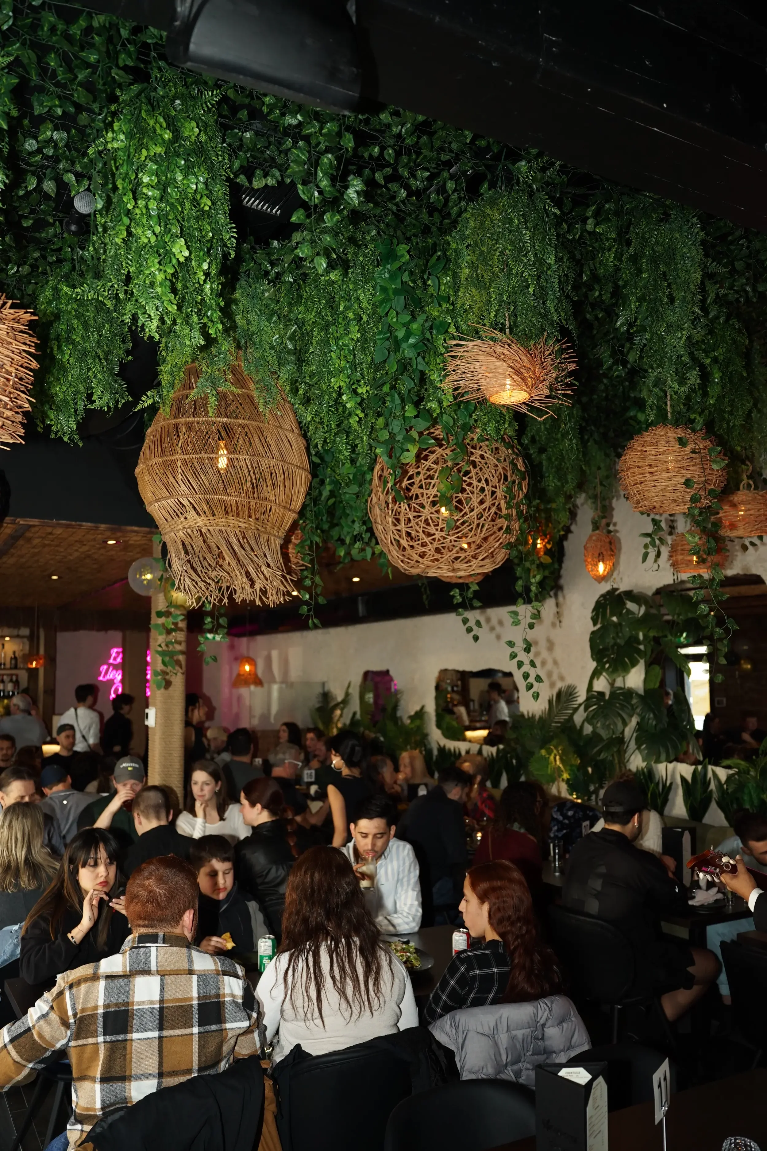 DSC00254.webp