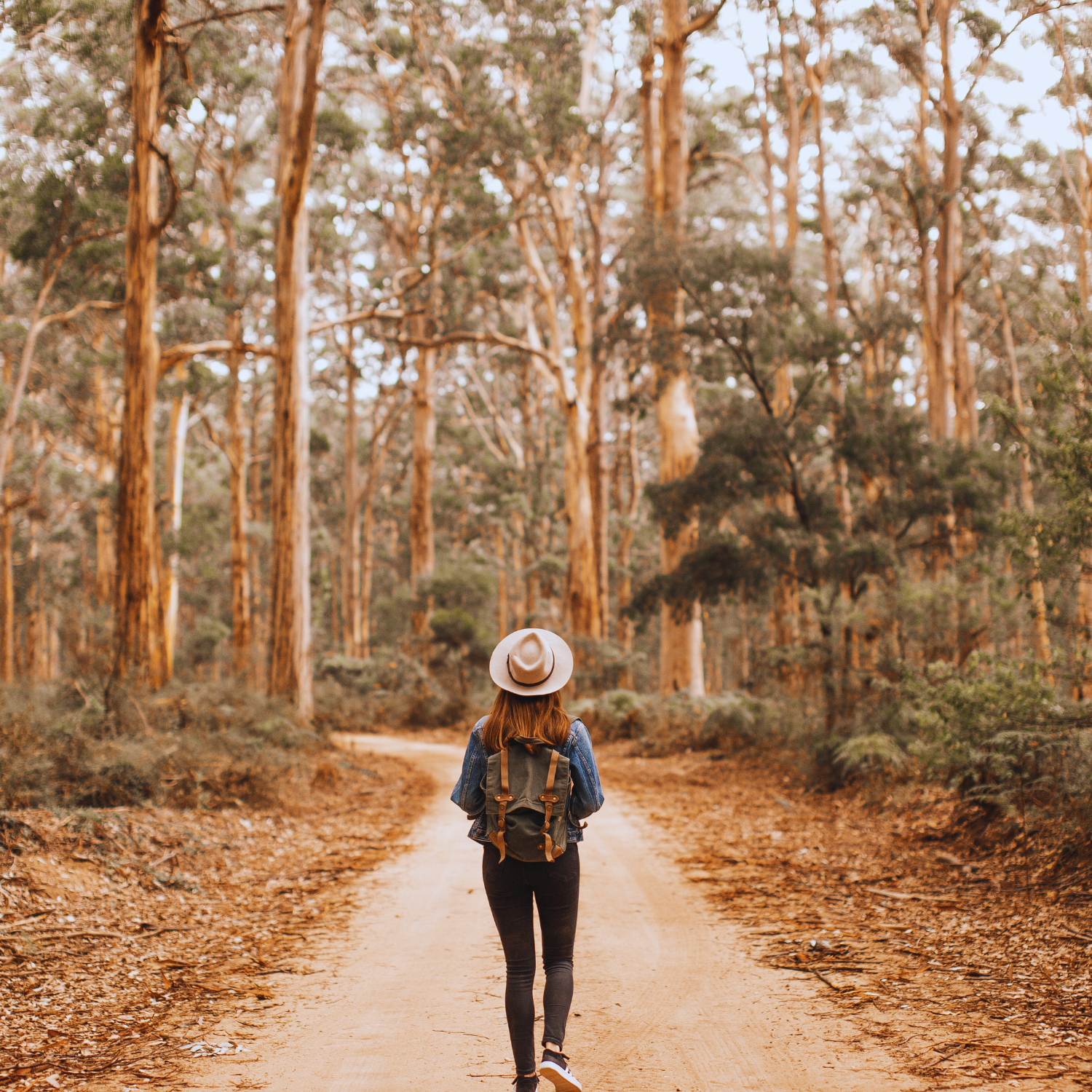 EMDR therapy in Vista, CA