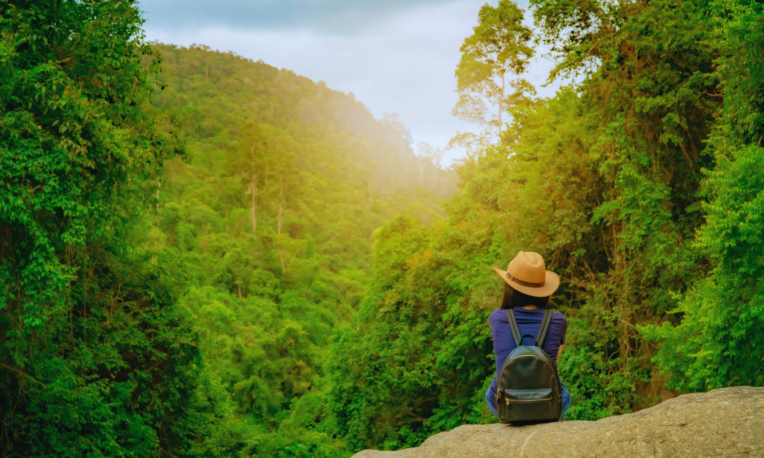 EMDR therapy near me