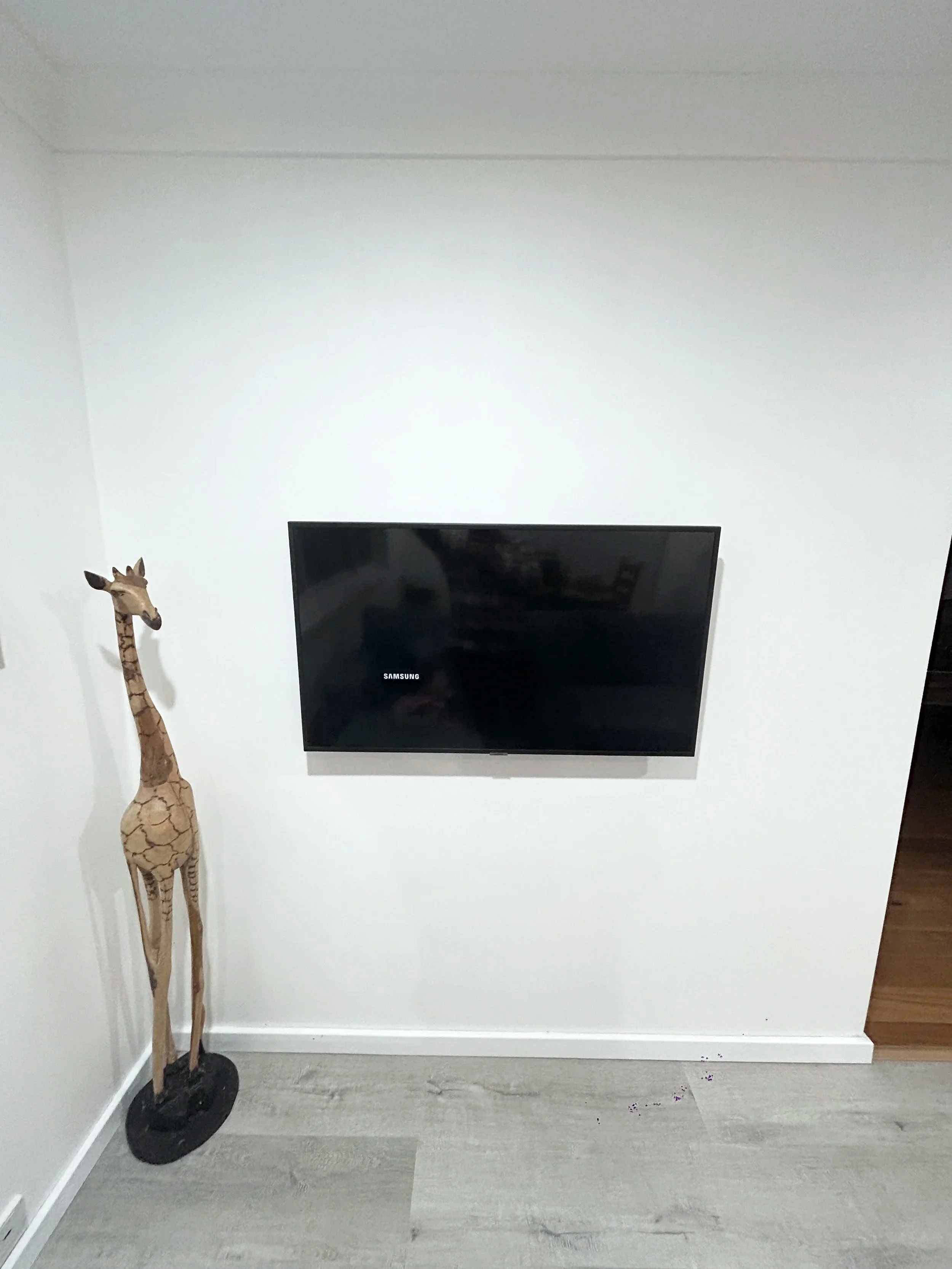 Tv Mounting and skirting board repair