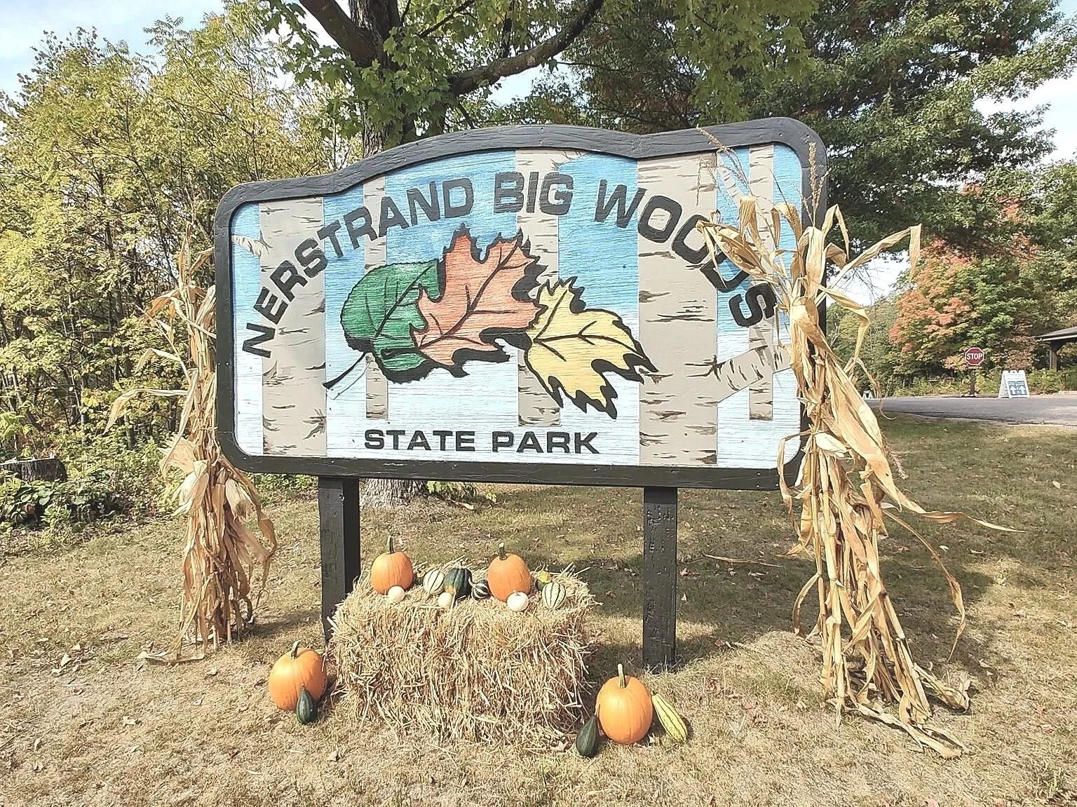 Wooden sign for Nearsatrand Big Woods State Park decorated with dried corn stalks and small pumpkins, resting on a hay bale with gourds and pumpkins around it, in a park setting during fall.