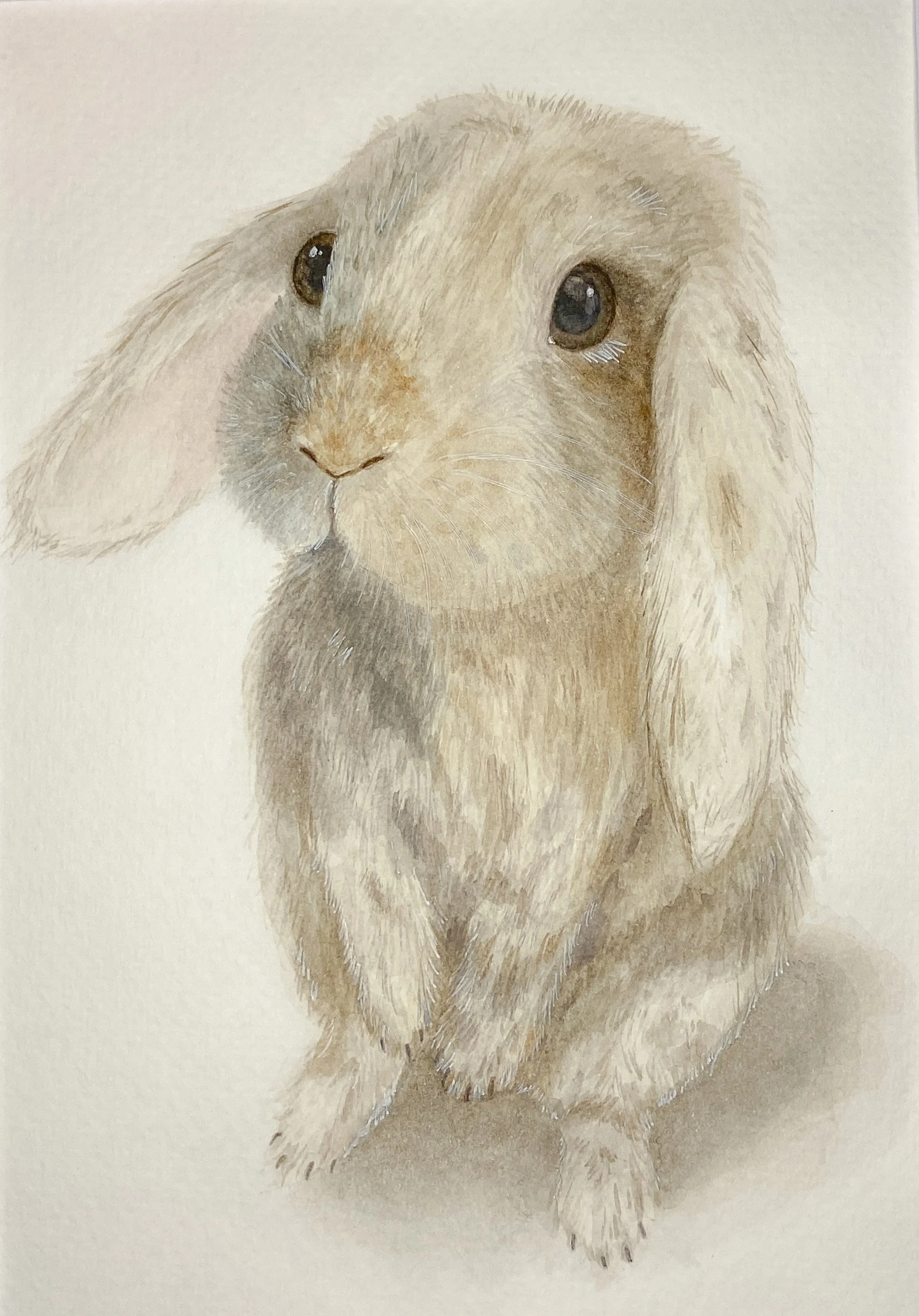 Bunny watercolor art