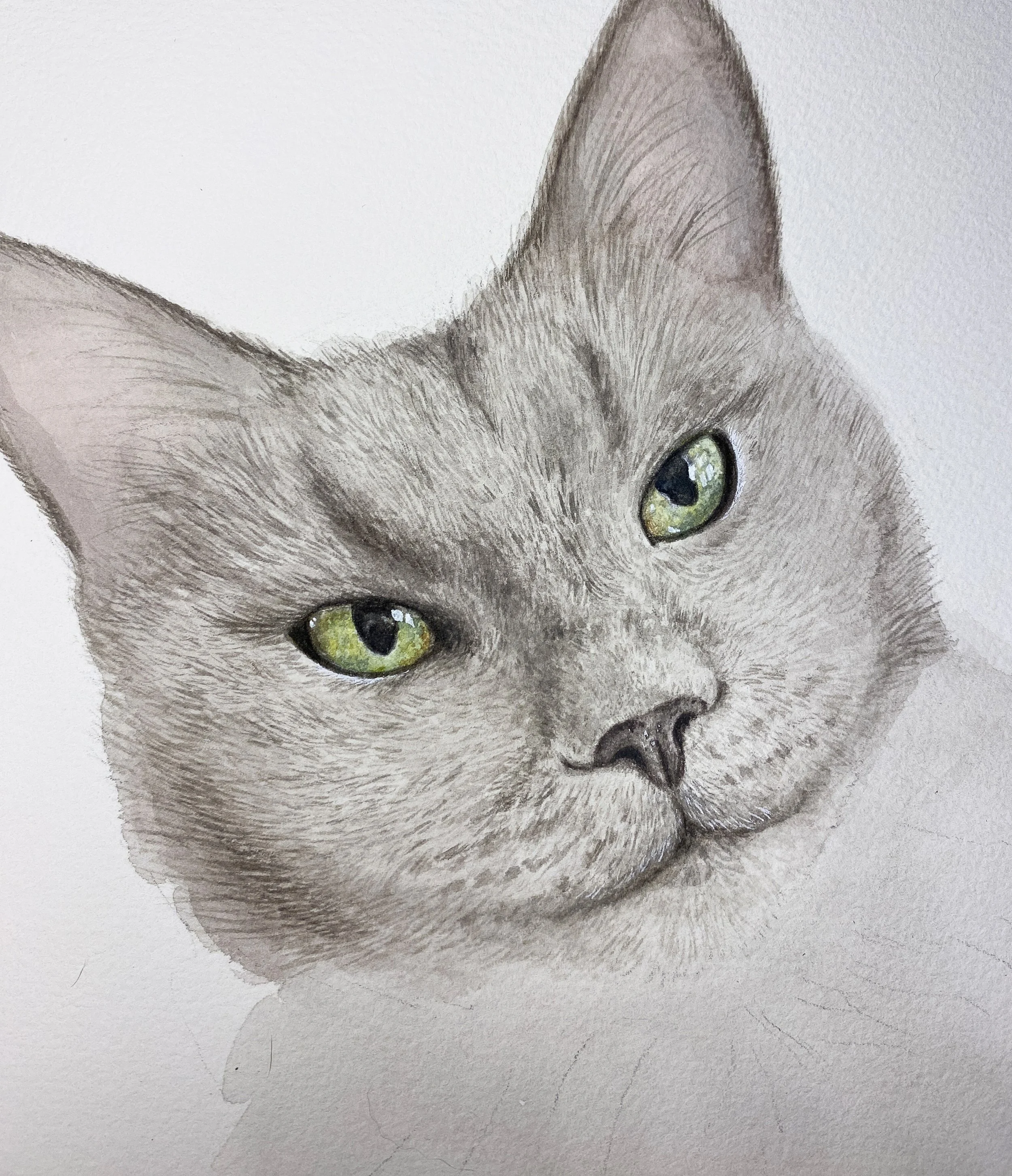 watercolor cat art