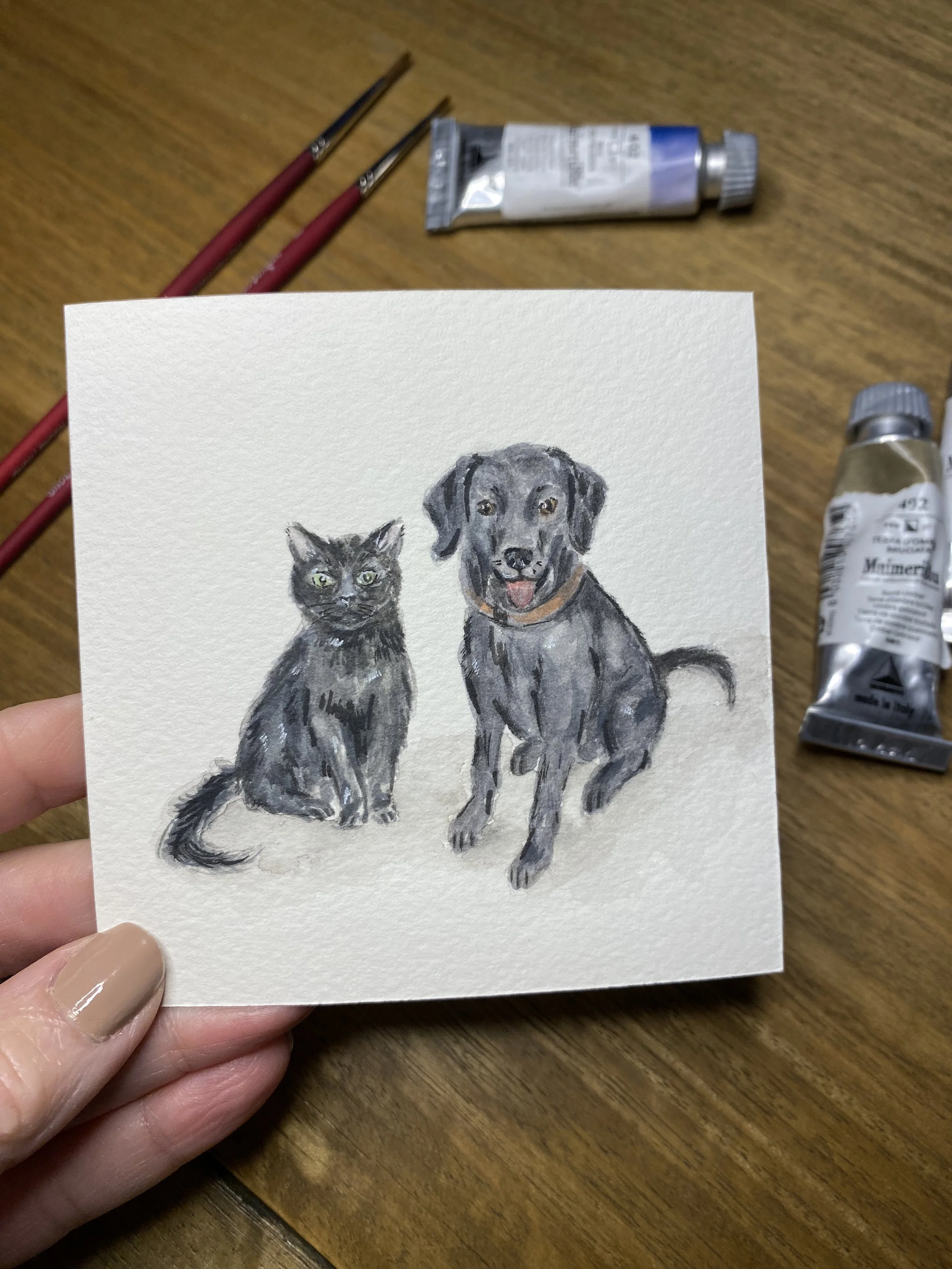 black dog and cat.jpg