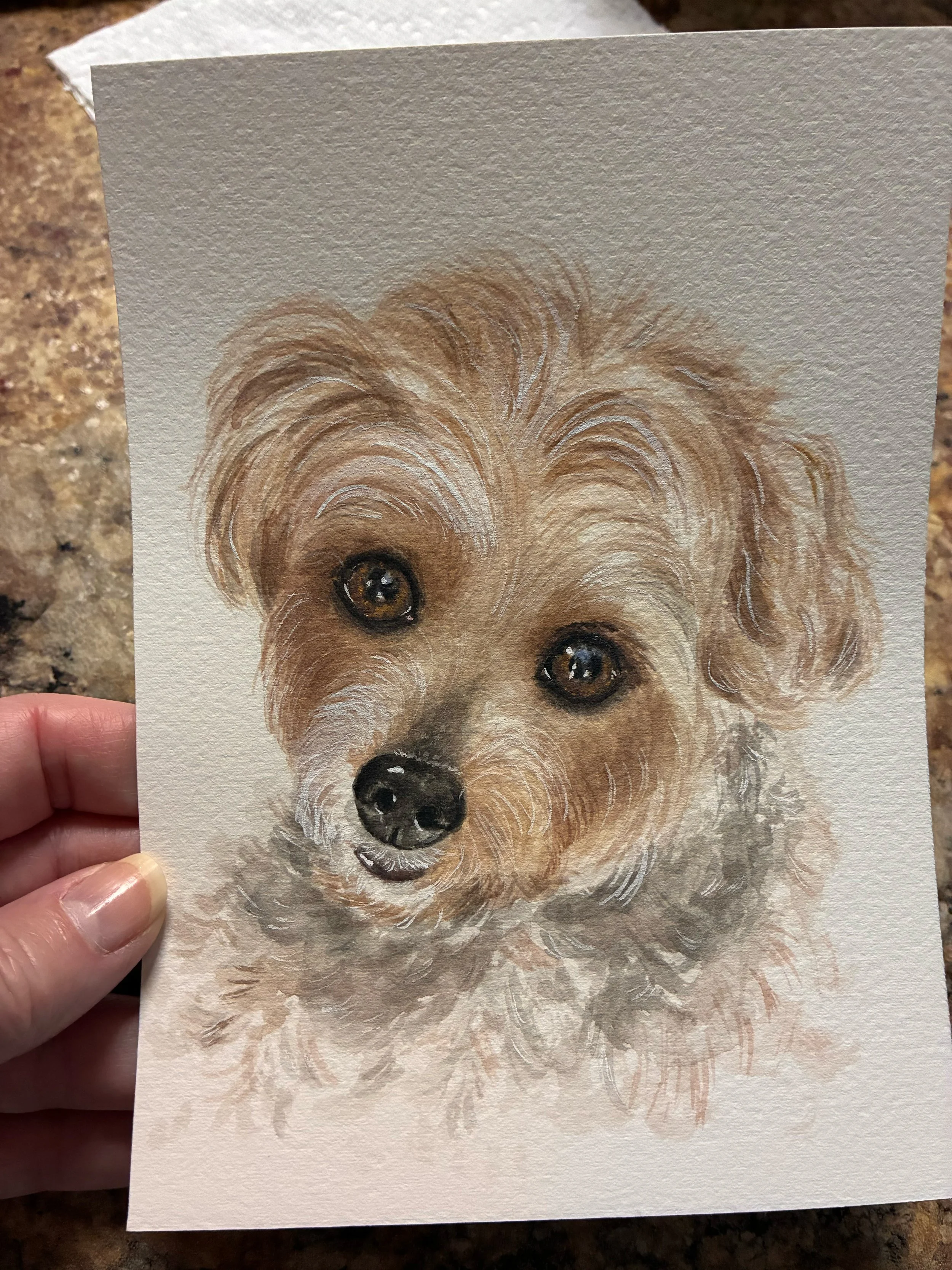 watercolor dog.jpg