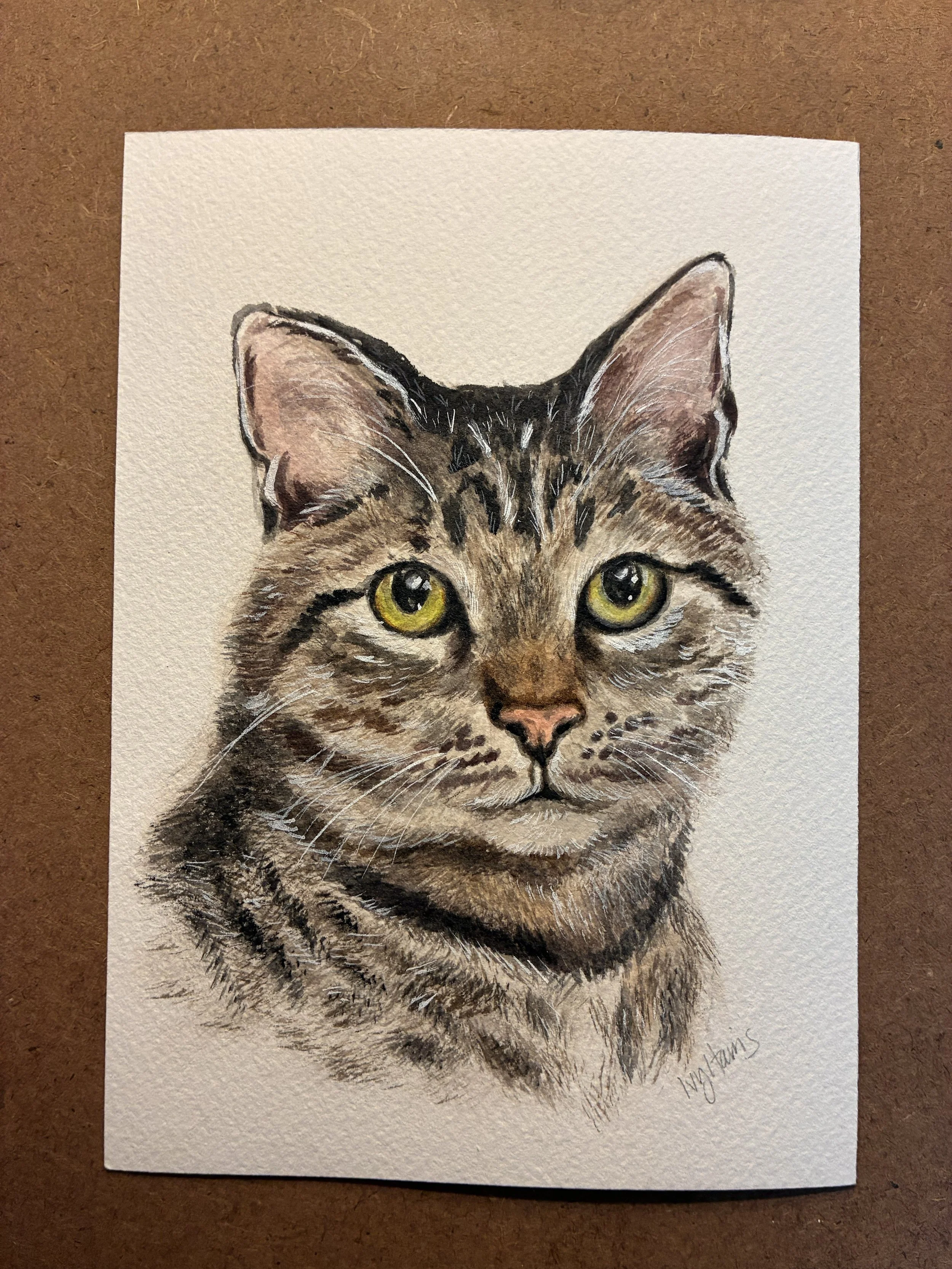 watercolor cat.jpg