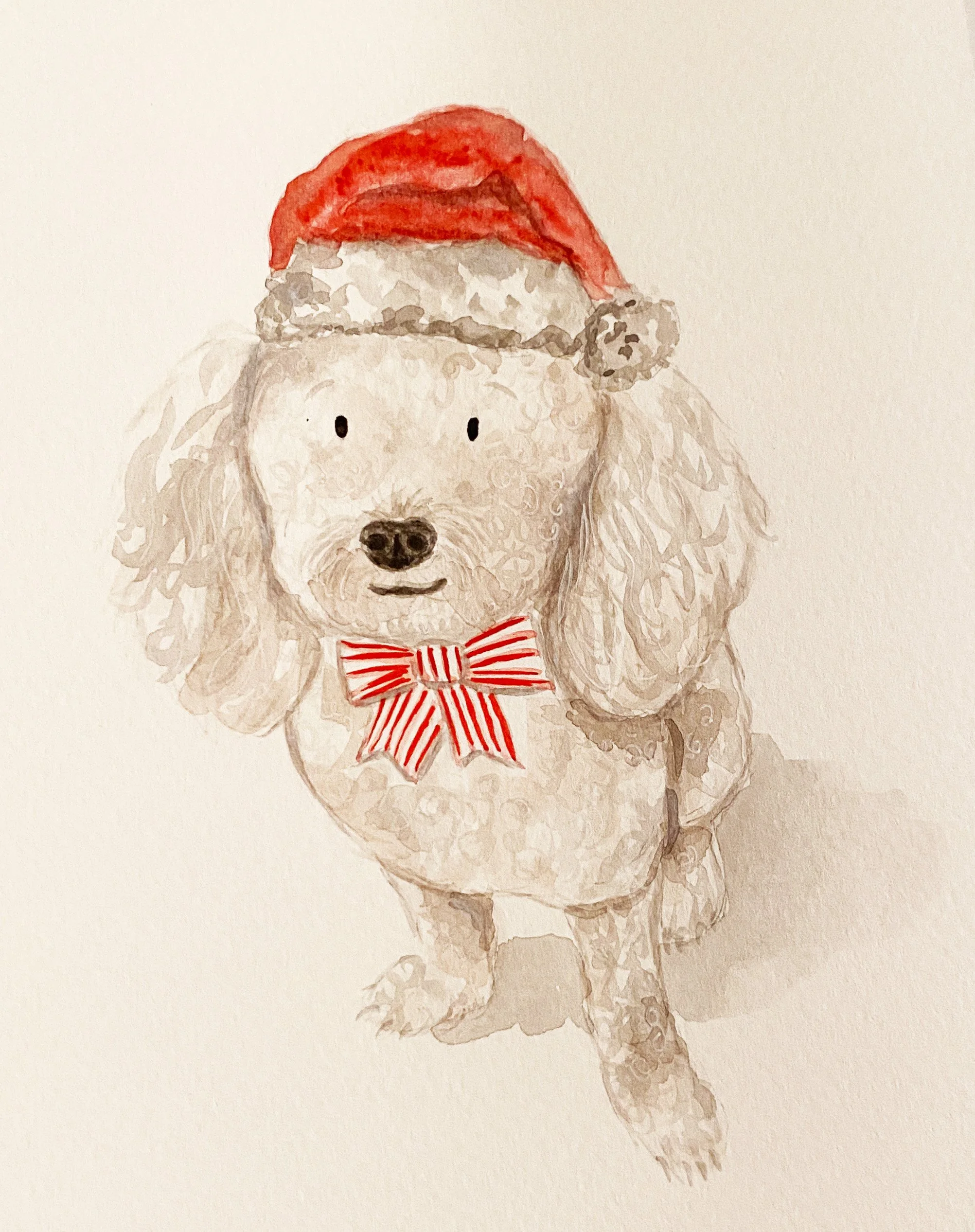 Dog in Santa Hat