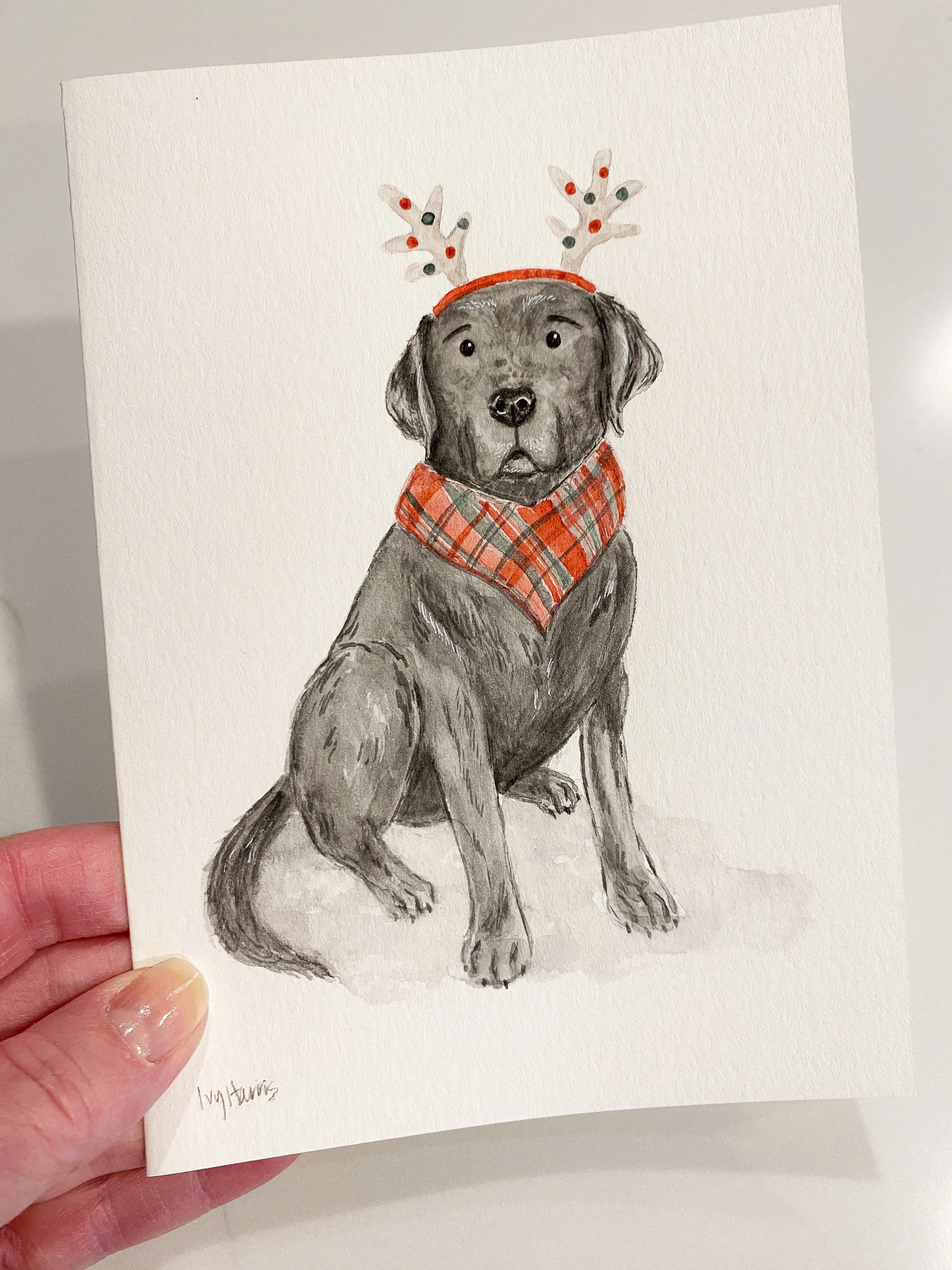 watercolor dog illustration