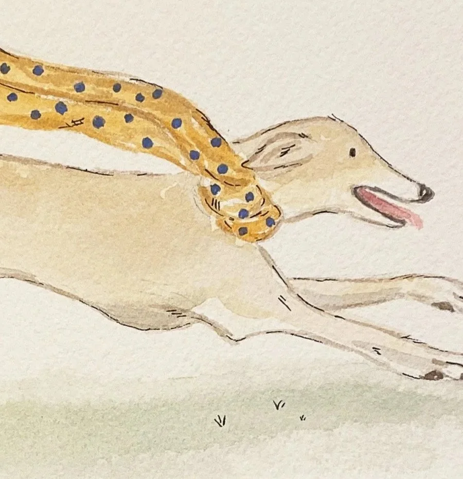 greyhound.jpg