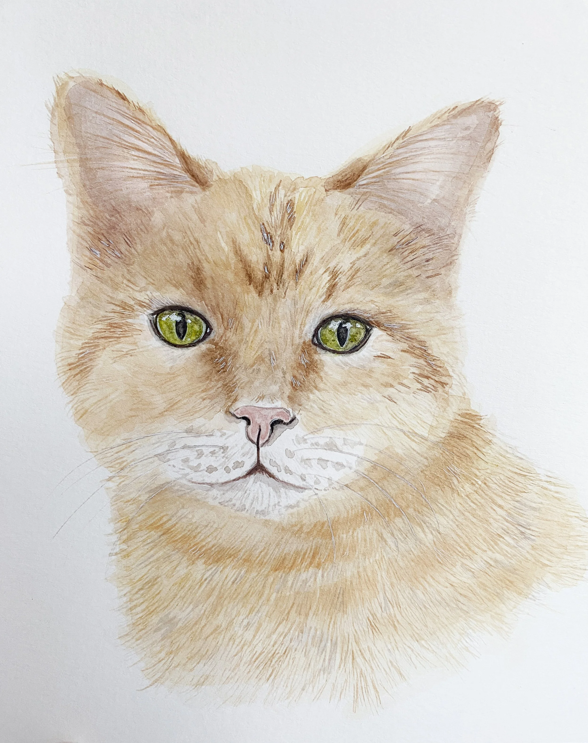 watercolor cat painting
