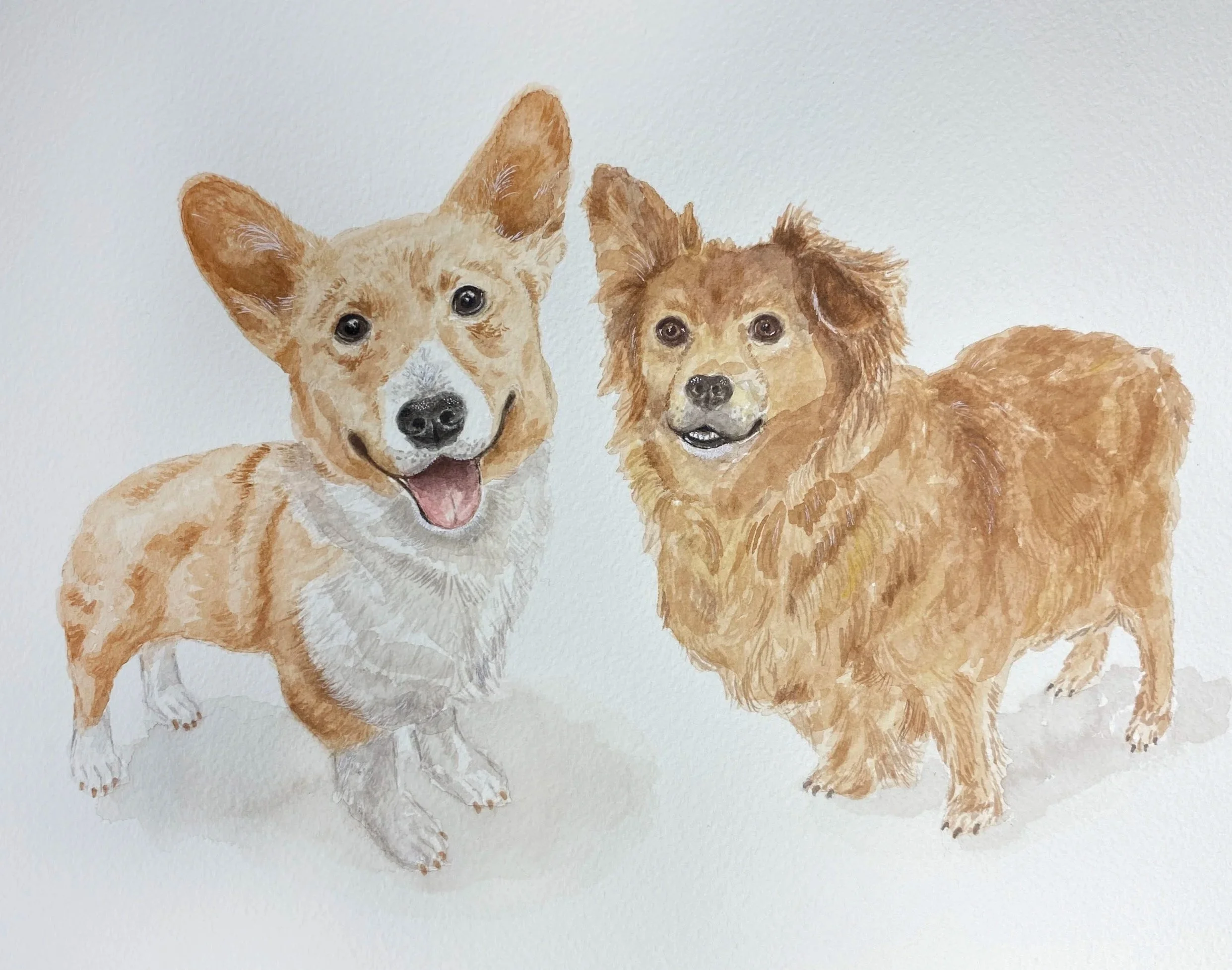 watercolor dog portrait