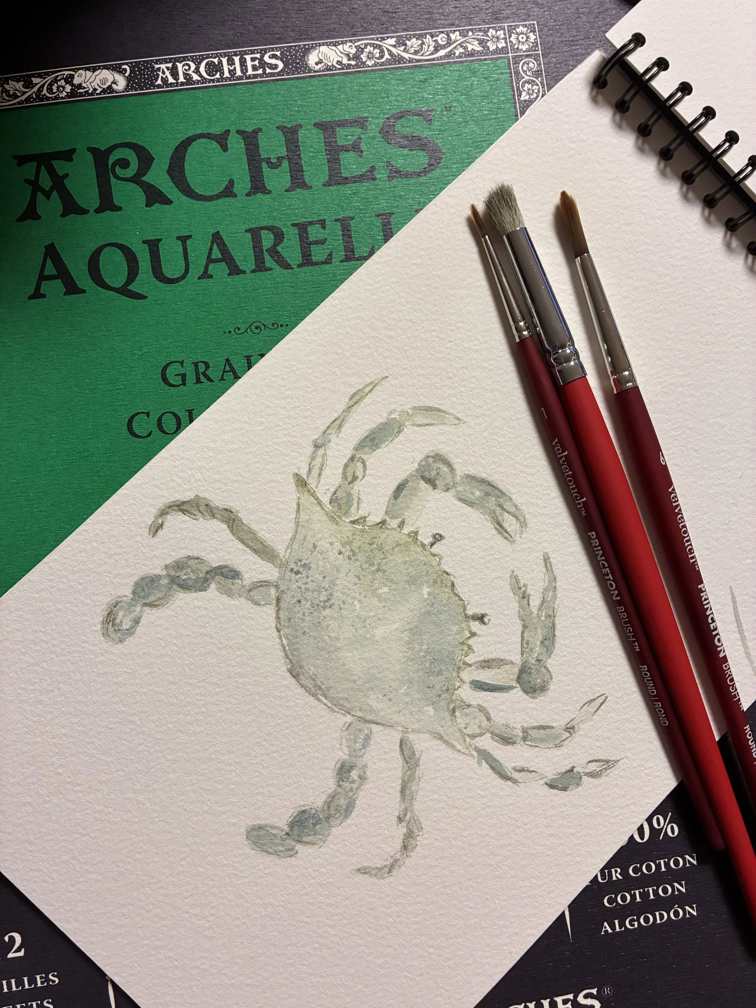 watercolor crab.jpg