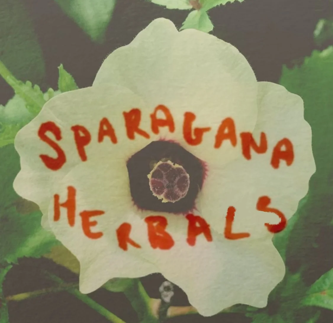 Sparagana Herbals ~ Clinical and Community Herbalist ~ New Orleans, La