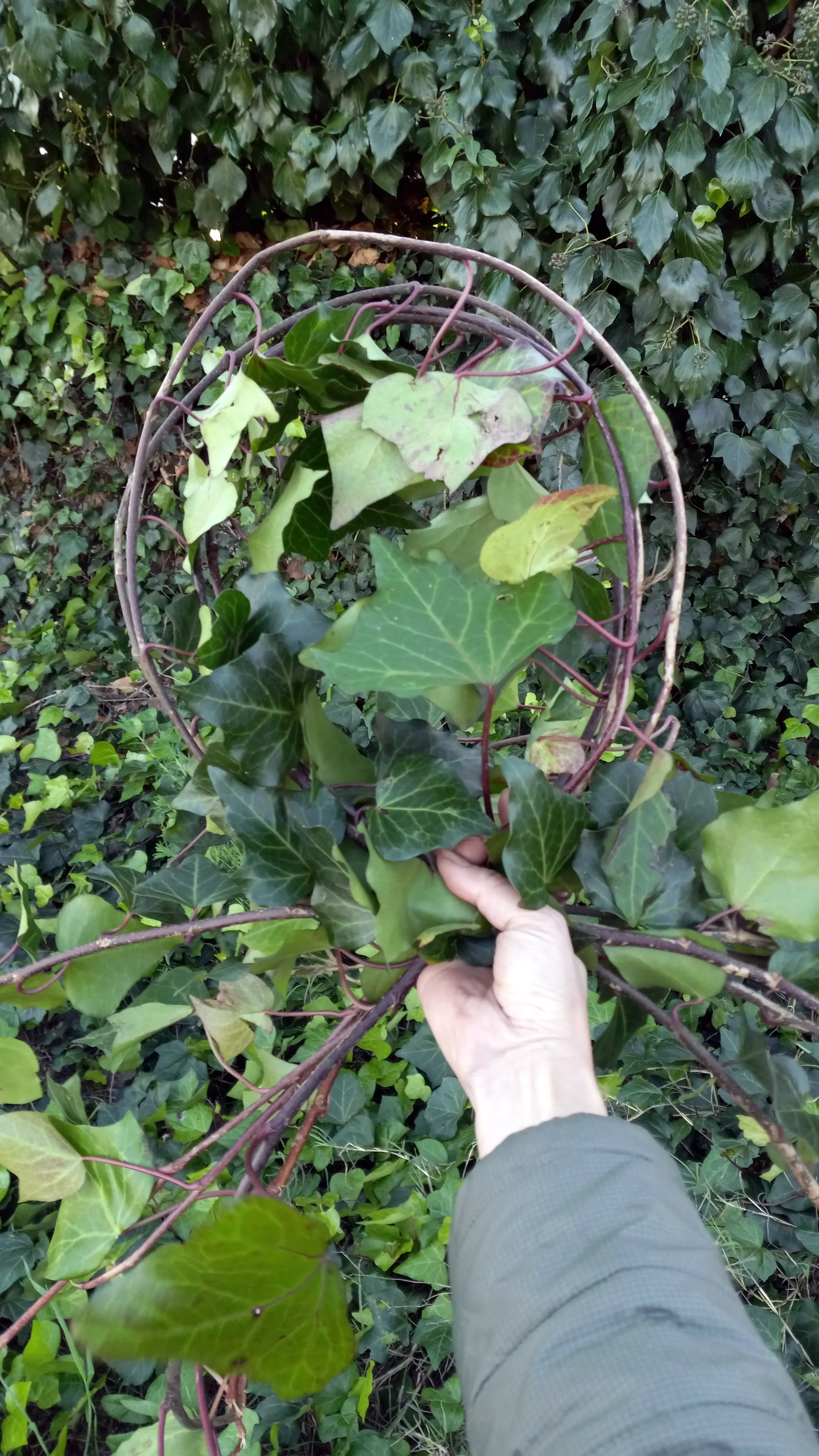 20240107_152254 copy.jpg