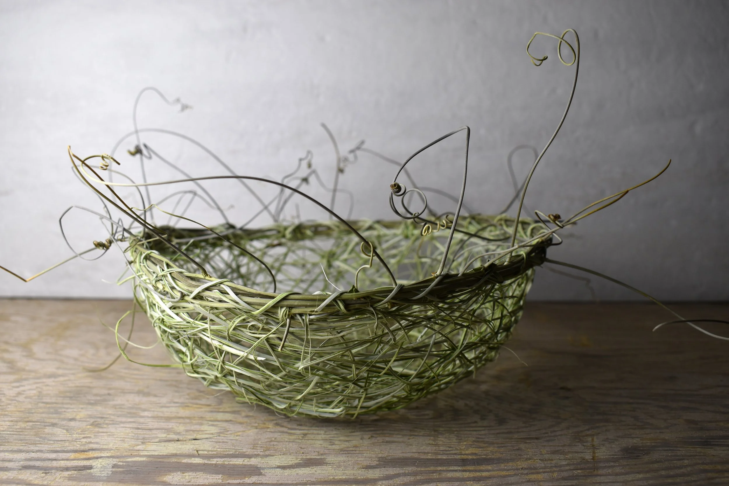 Select_DSC_0021 copy.jpg