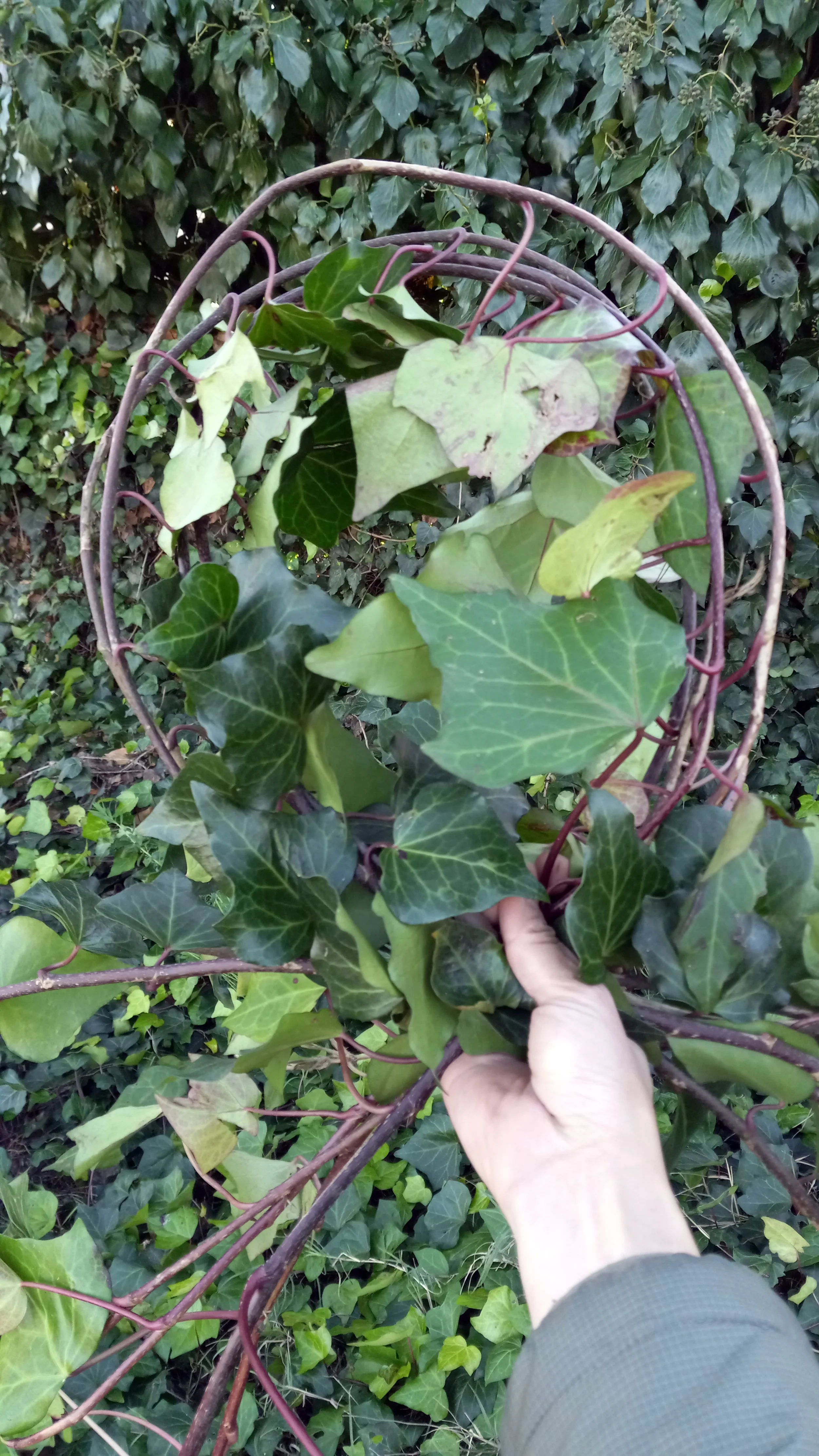 20240107_152238 copy.jpg