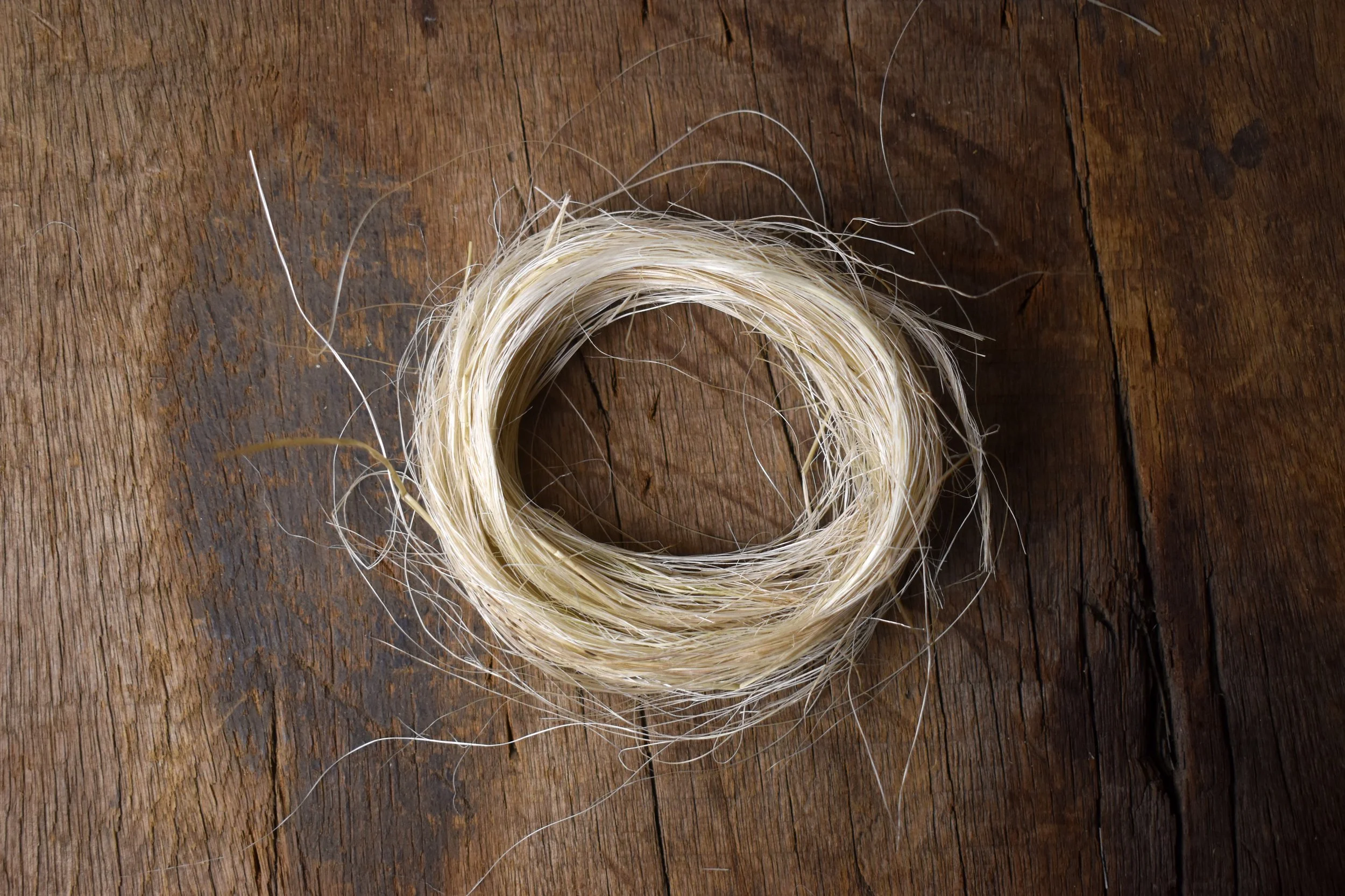 20231220_DSC_0002 copy.jpg