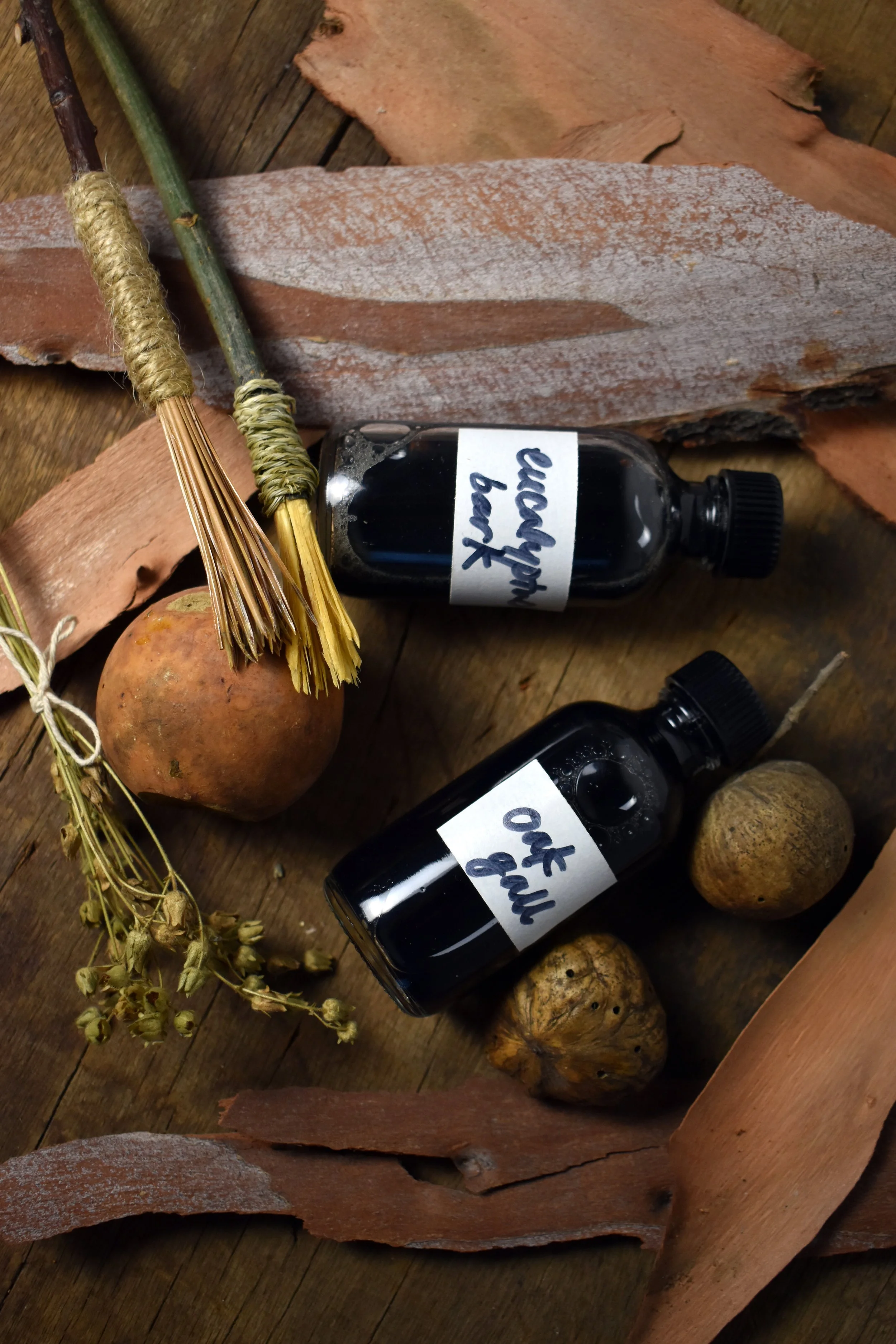 DSC_0177 copy3_Original.JPG