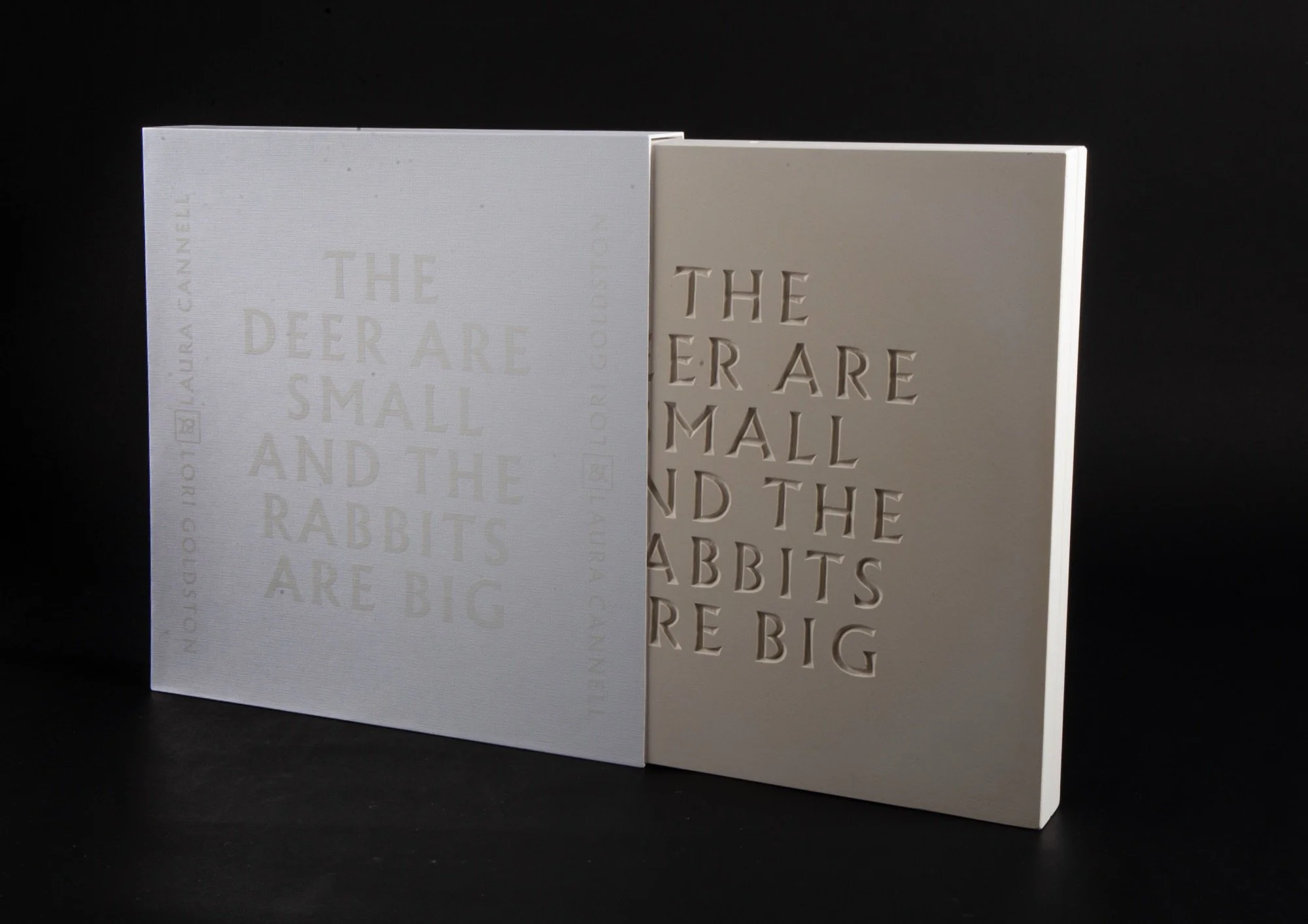 The Deer are Small and the Rabbits are Big  x  Laura Cannell & Lori Goldston  x  state51