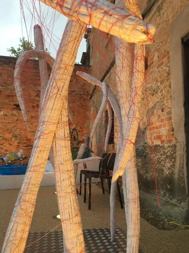 Photo: Janine Morris