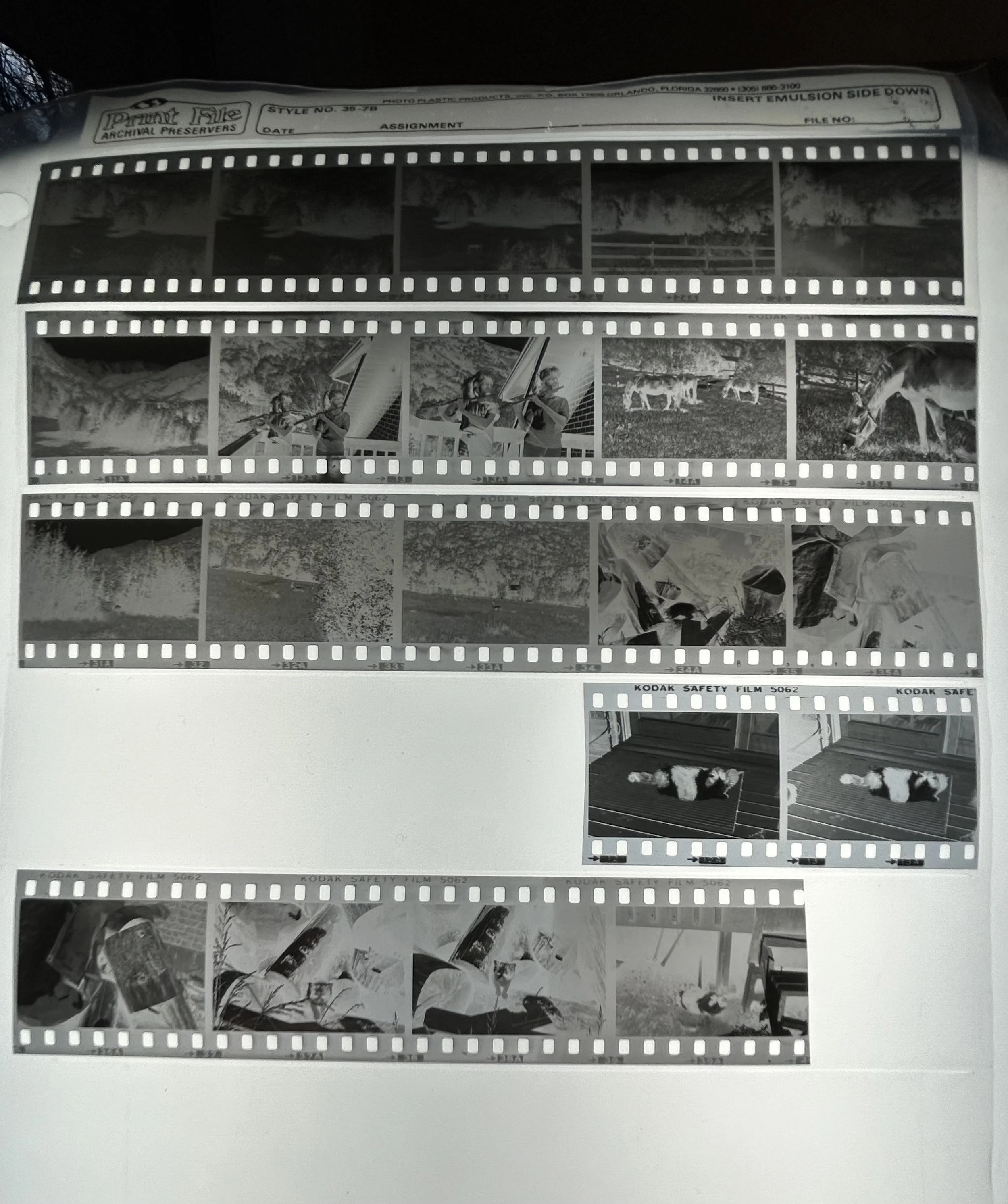 35mm Photo Negatives