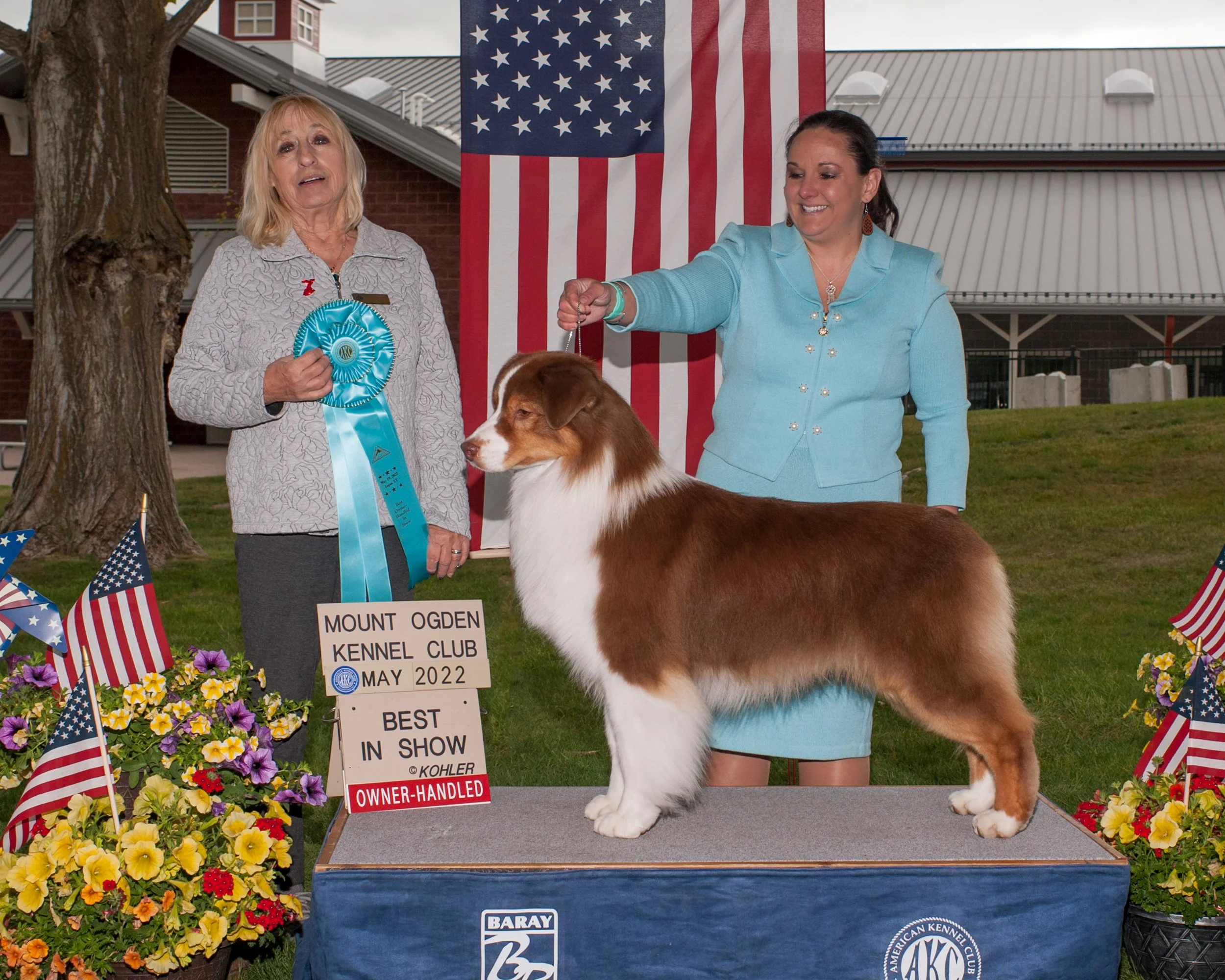 A dog show award ceremony with a large Australian Shepherd dog on a platform, surrounded by American flags and flowers. A woman in a light blue suit holds the dog’s leash, and another woman with a blue ribbon stands nearby. The sign indicates the eve