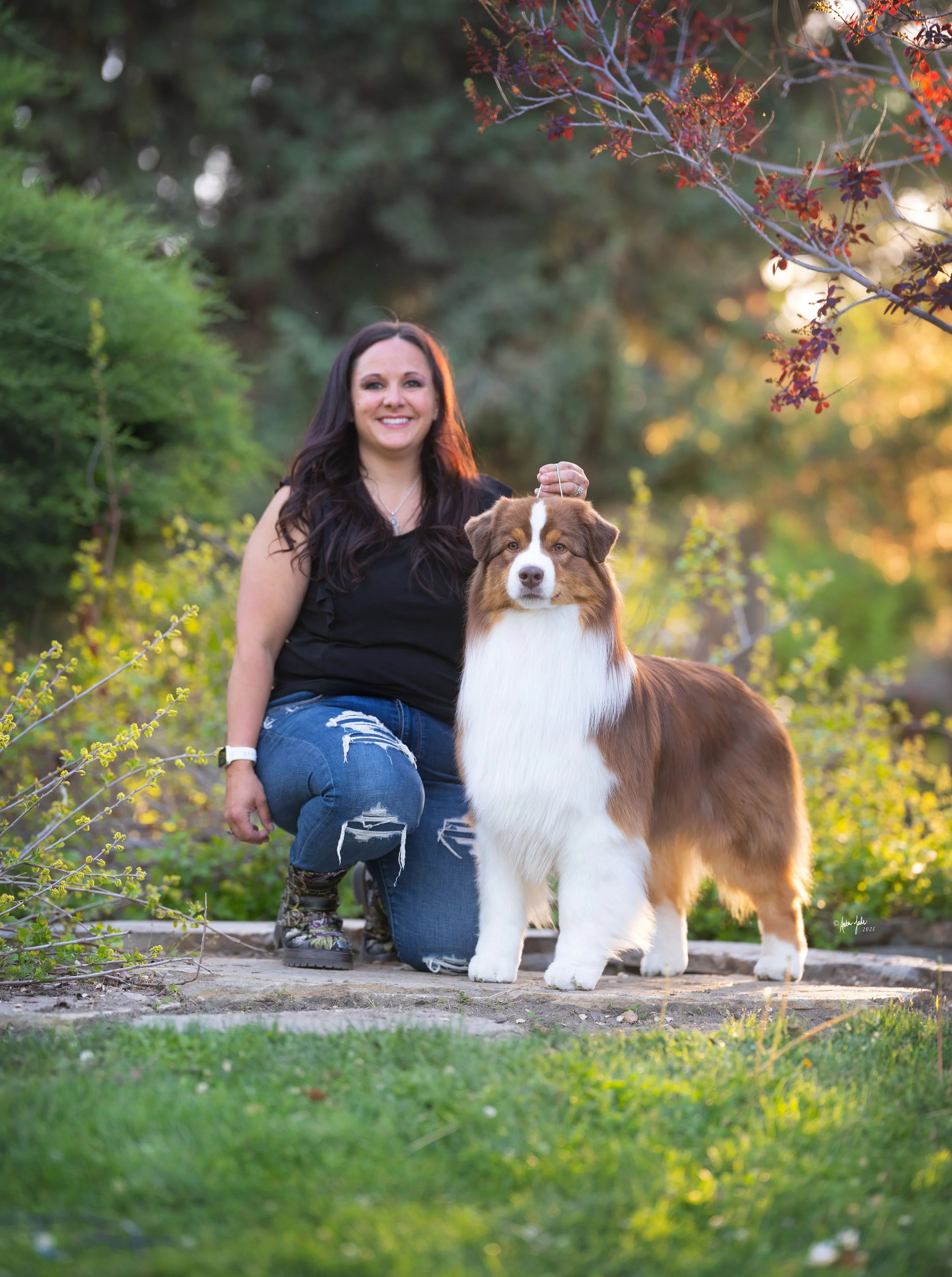 A woman kneeling outdoors on a stone path at International Peace Gardens in Utah, holding a red tri Australian Shepherd dog by a leash, with greenery and trees in the background during sunset.