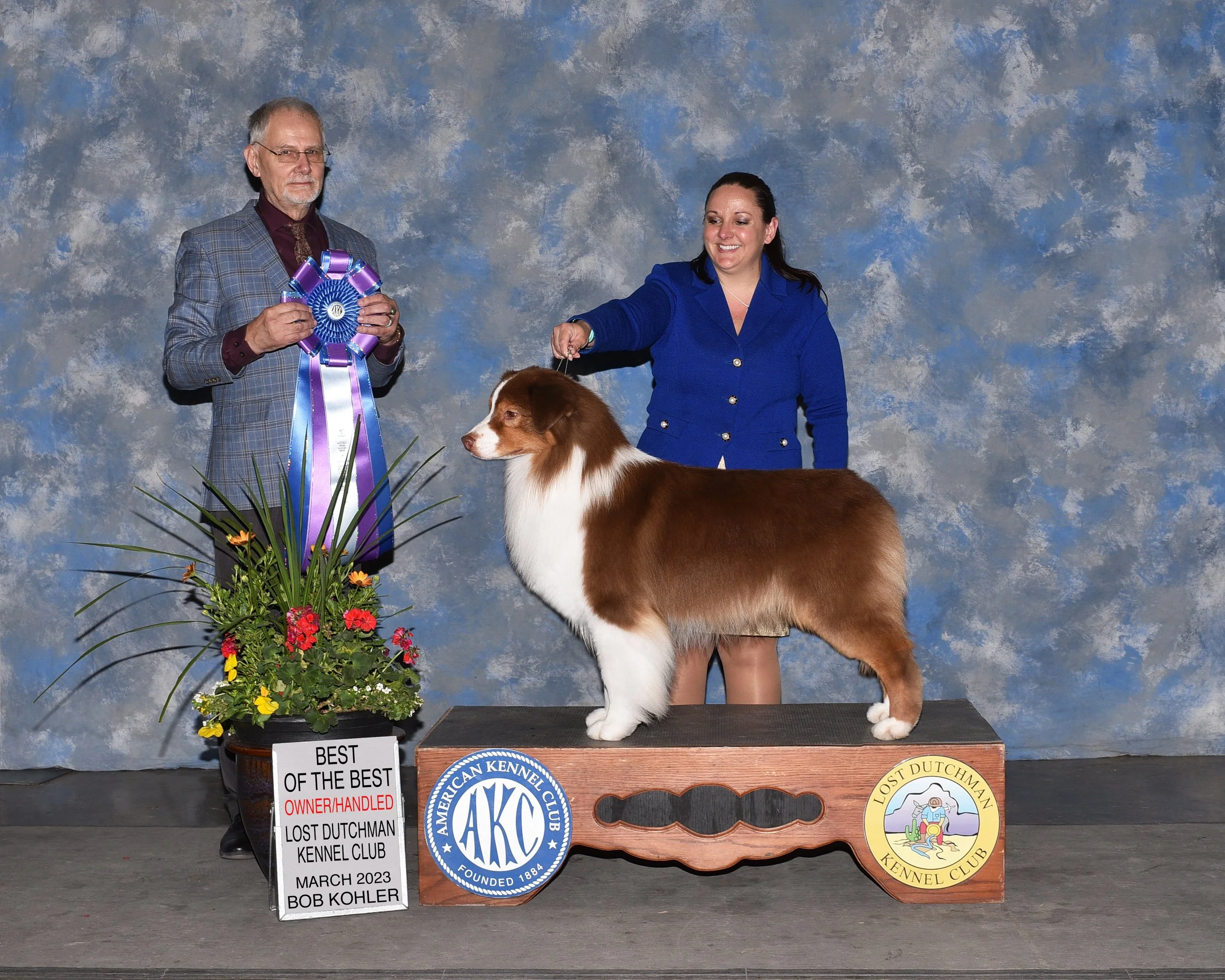 an Australian Shepherd with a brown and white coat, with the American Kennel Club logo and the other with a Lost Dutchman Kennel Club logo.  a plaque indicating the dog won Best of the Best at a dog show in March 2023.