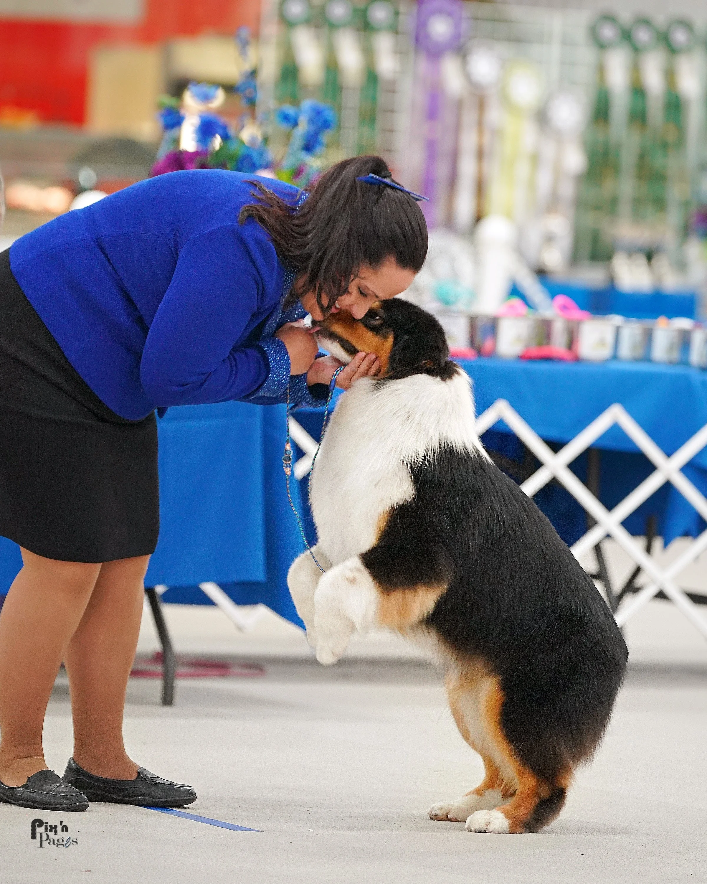 A woman in a blue blazer is leaning down and kissing a black tri Aussie, in a ring or show area. The dog is jumping facing the woman. The background shows a table with colorful ribbons and awards, indicating an event or competition.