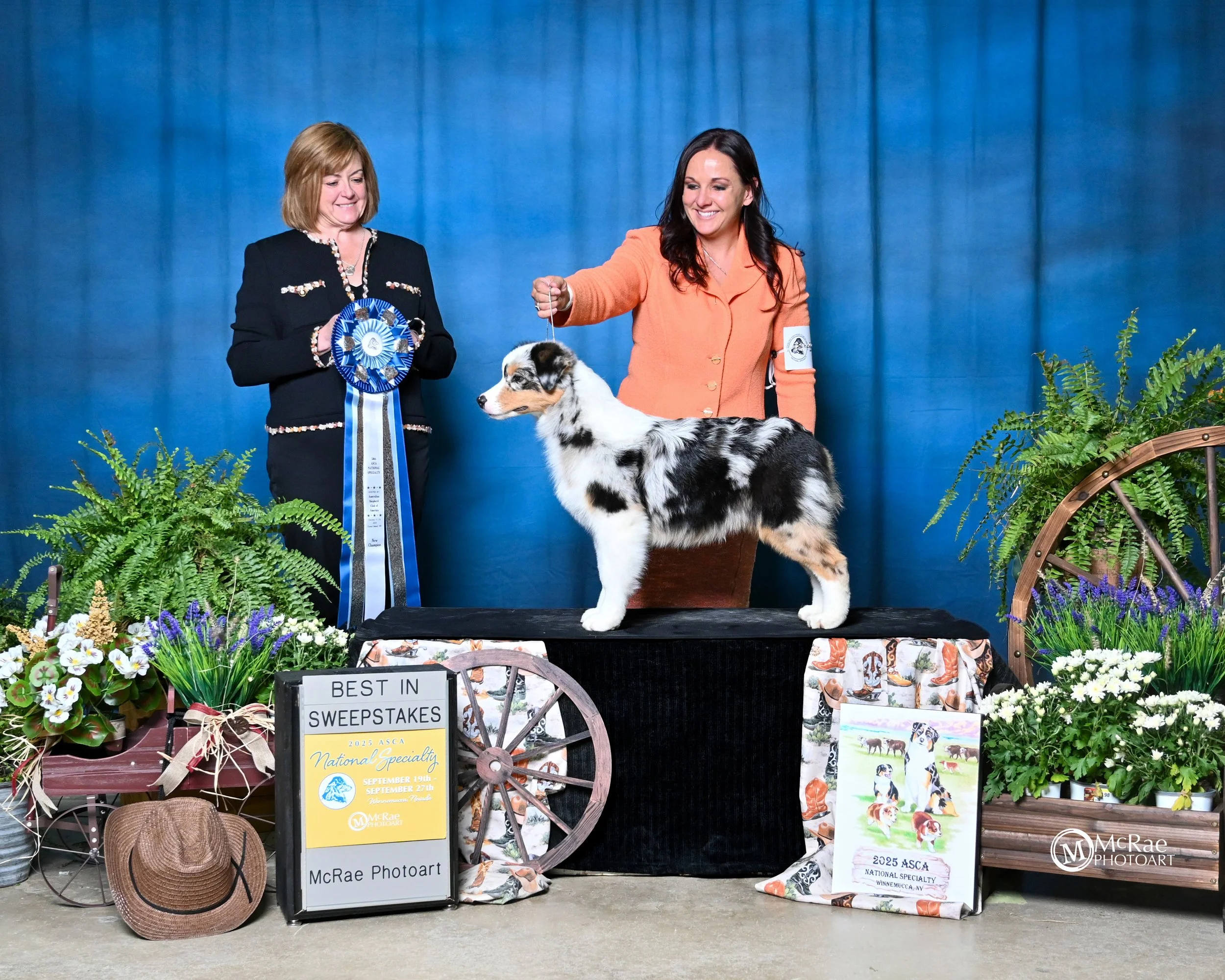 2025 SEPT 24 ASCA Nat_-7244.jpg