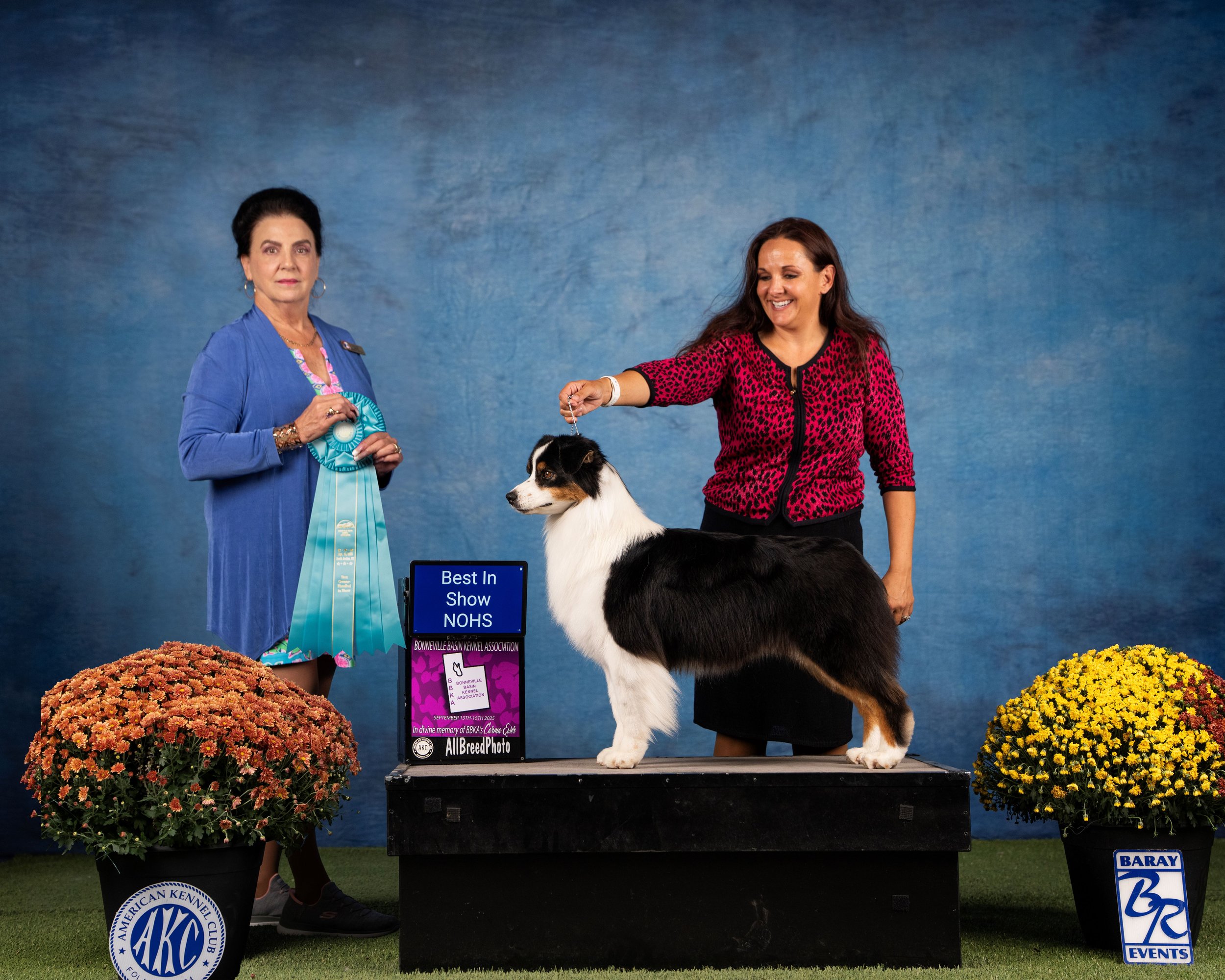 AusBIS11108396 resize.jpg