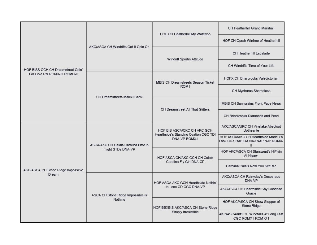 A detailed Australian Shepherd pedigree chart for dogs, listing various champions and their lineage in a hierarchical tree.