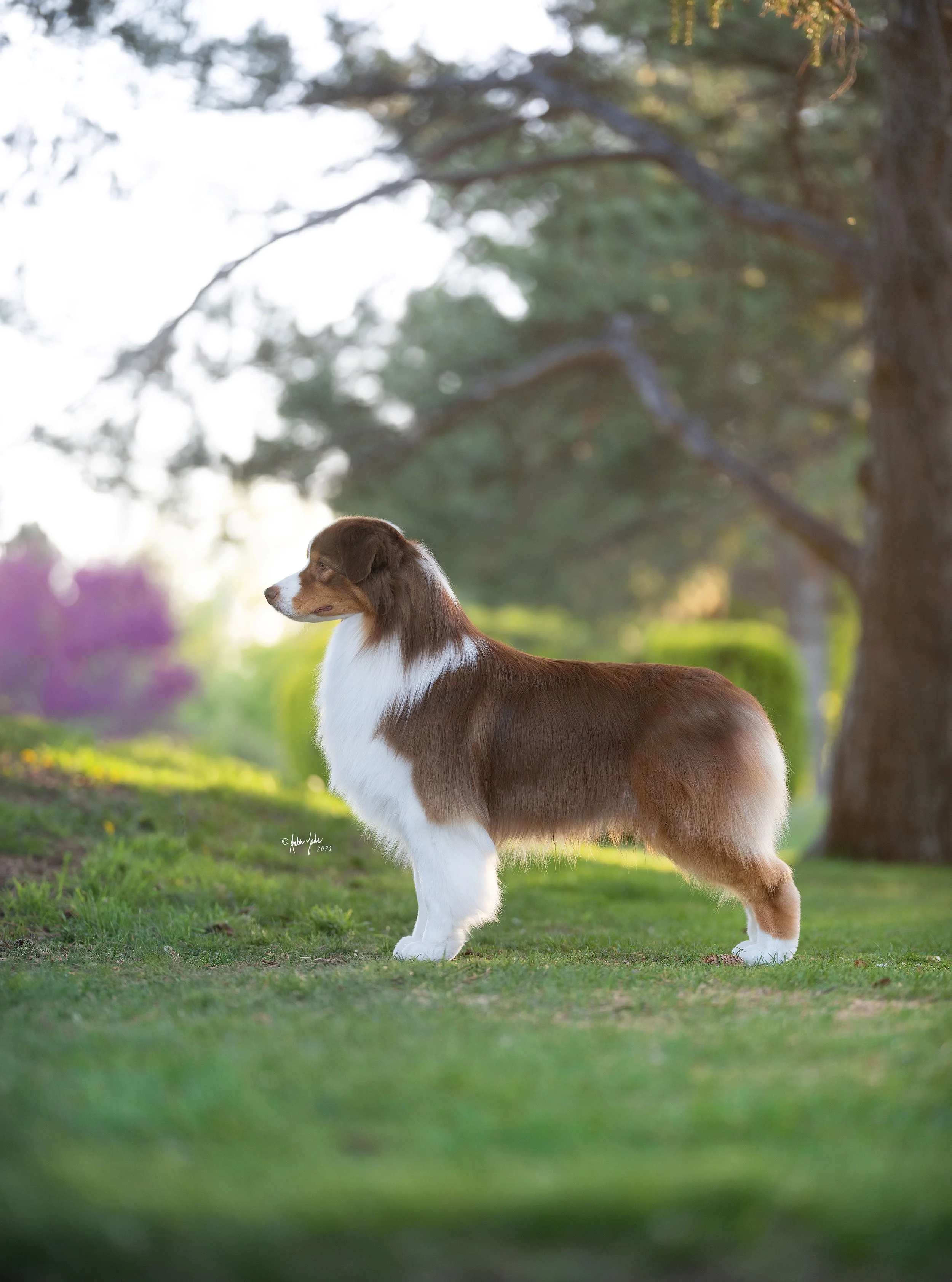 DSCF1065 - resize.jpg