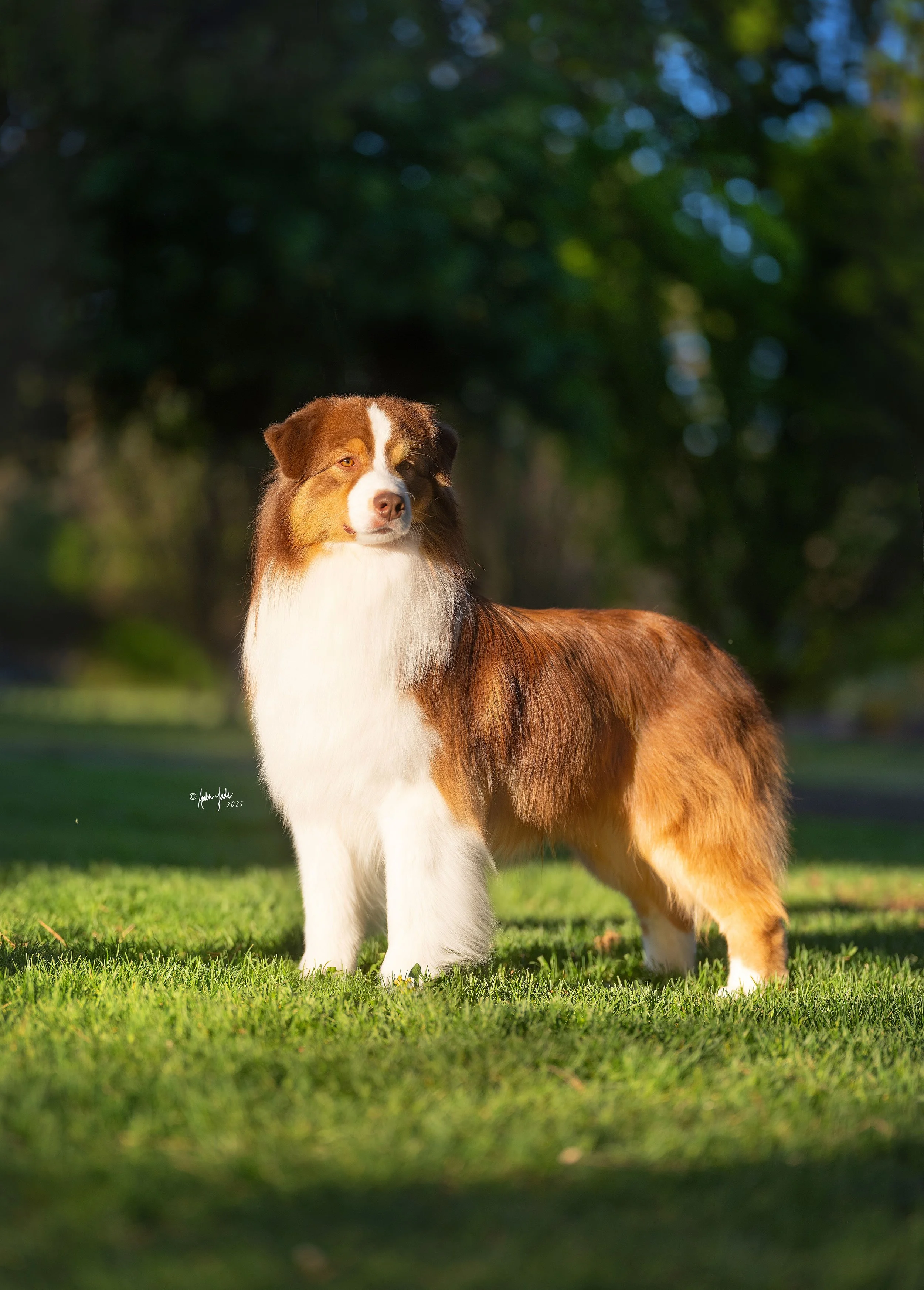 DSCF1096 - resize.jpg