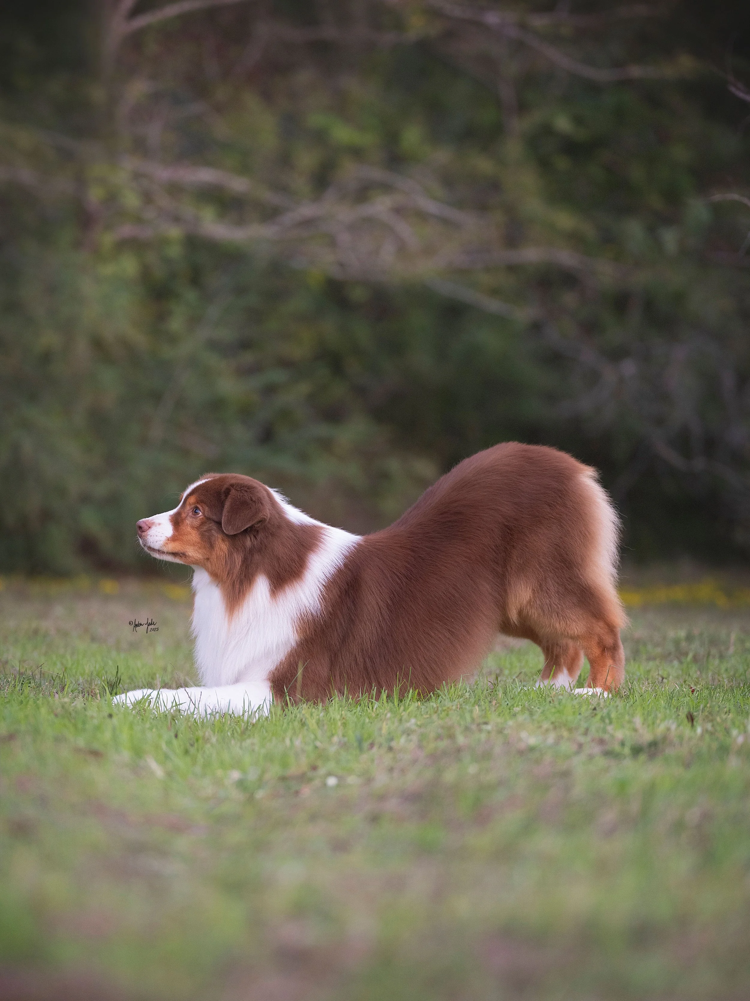 DSCF2793 - resize.jpg