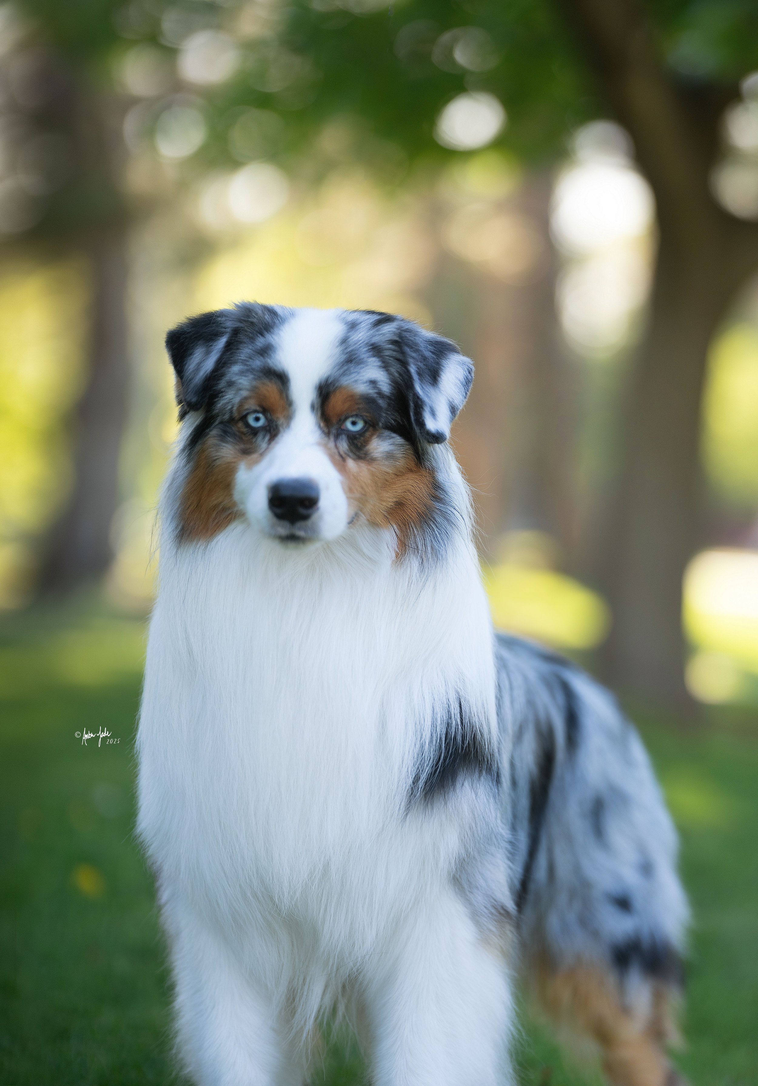 DSCF0427 - resize.jpg