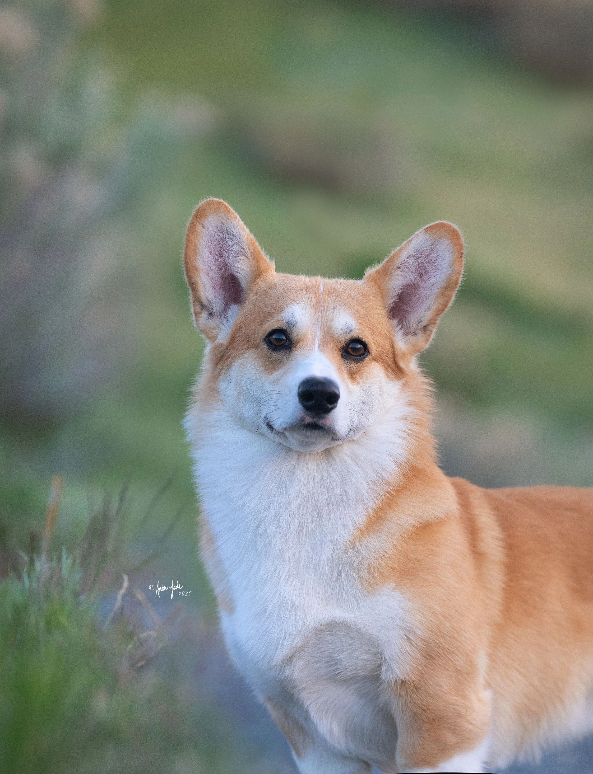 DSCF6651_1 - resize.jpg