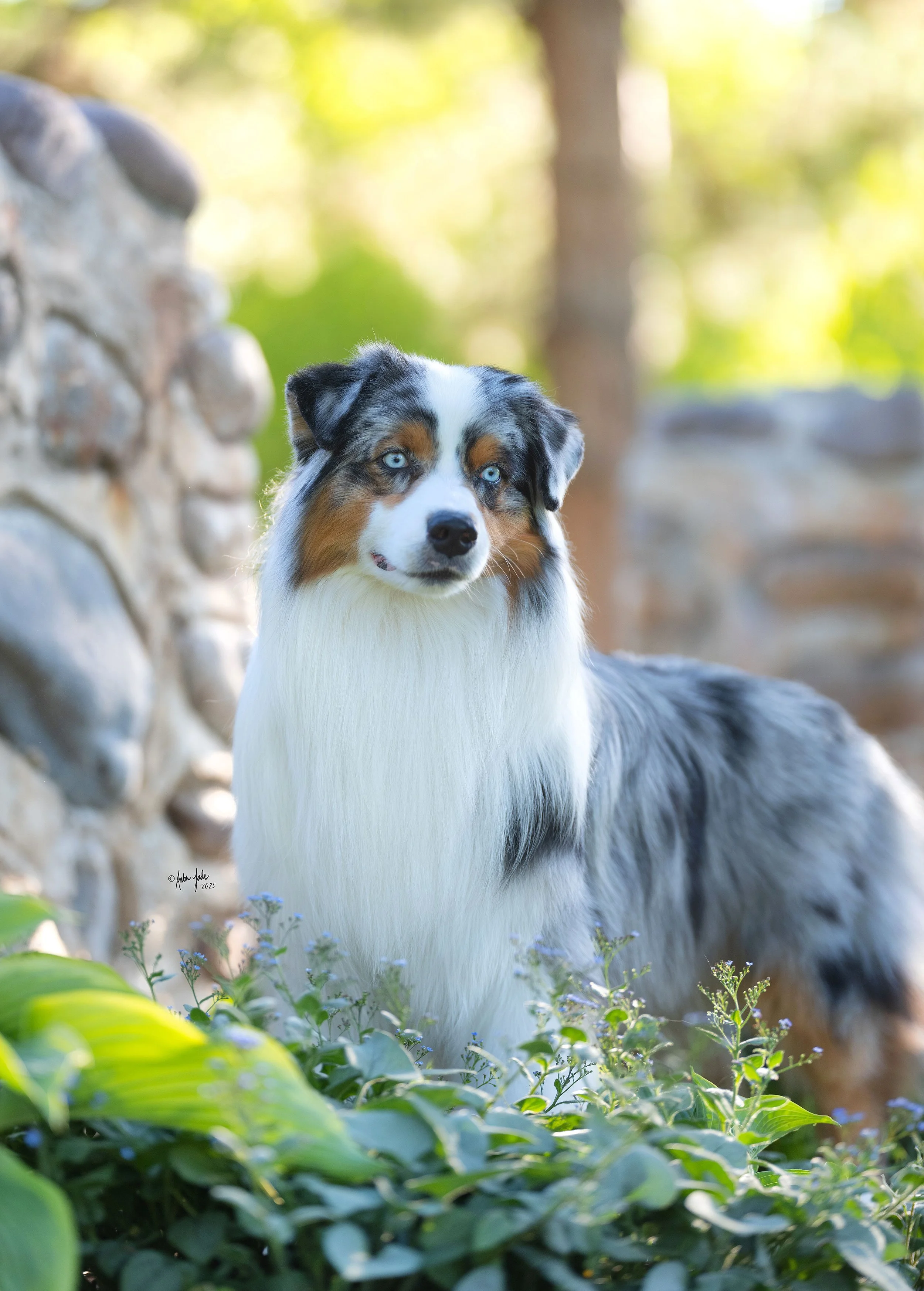 DSCF0474_1 - resize.jpg