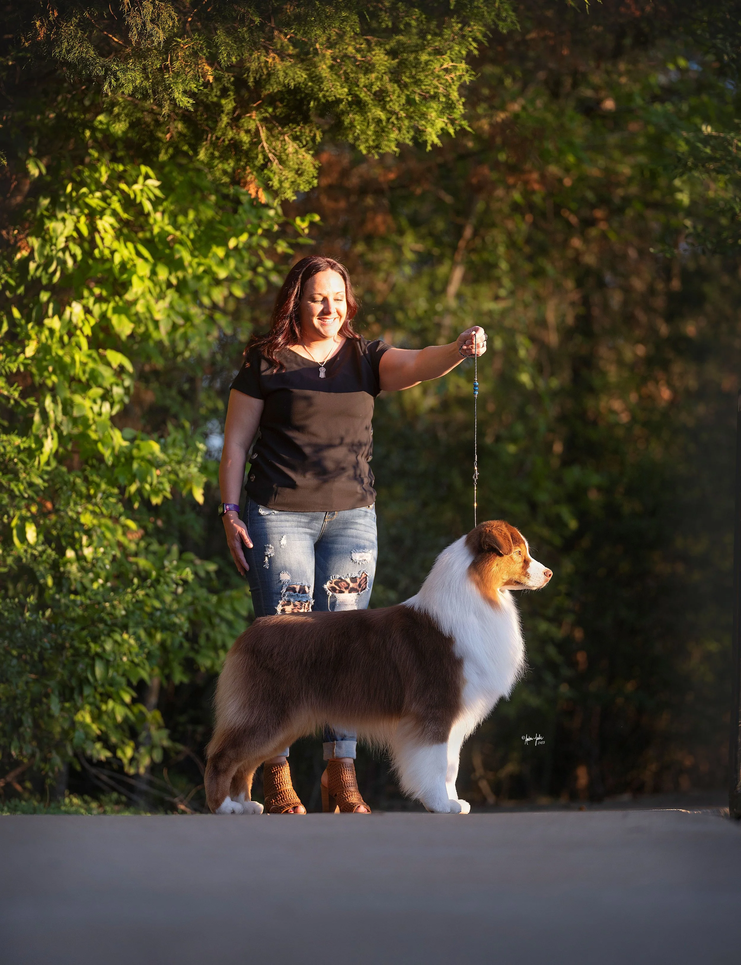 A woman smiling and holding a leash attached to a brown and white, red tri Australian Shepherd dog outdoors with trees in the background.